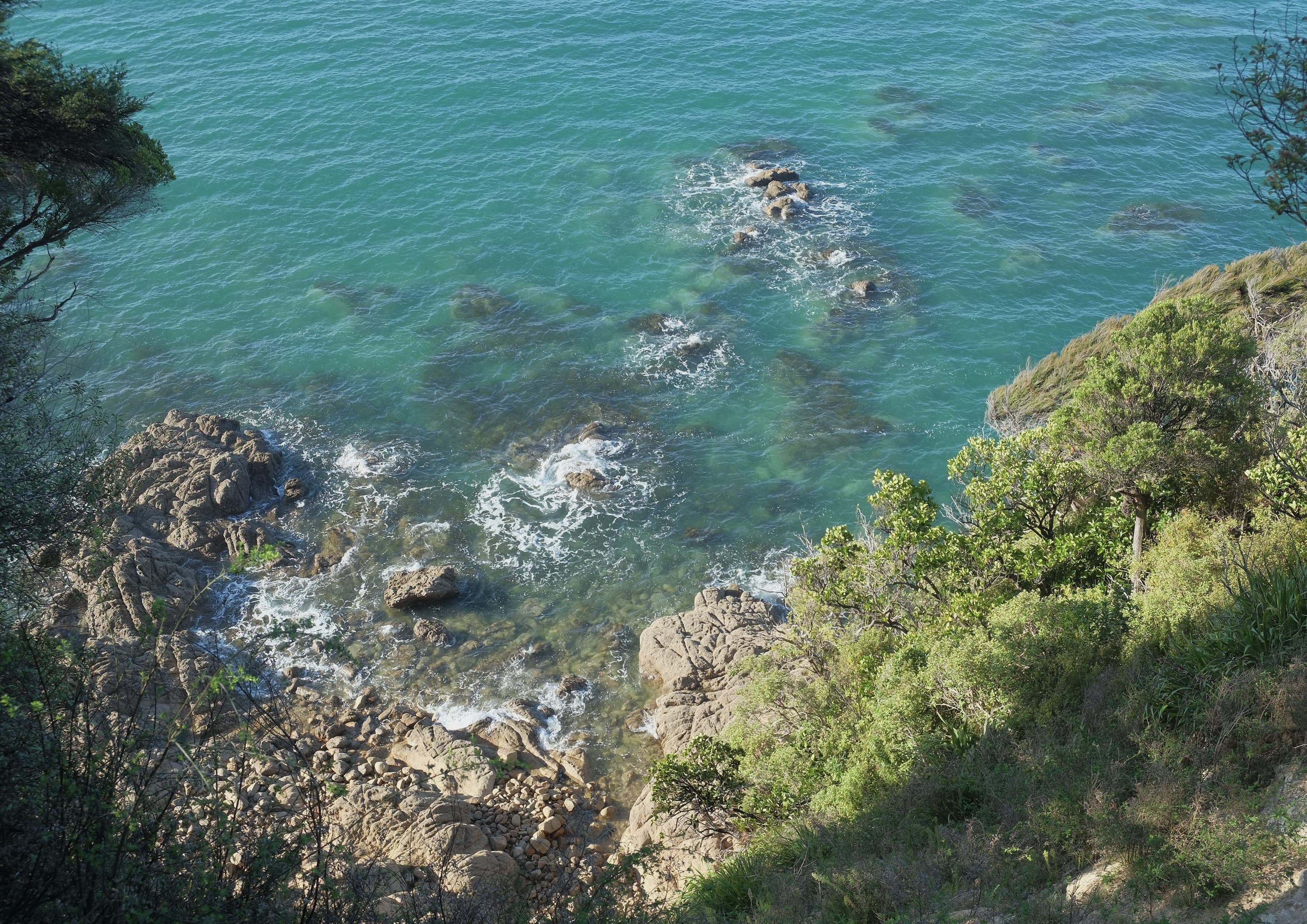 Coastal walking landscape on the Abel Tasman Coast Track