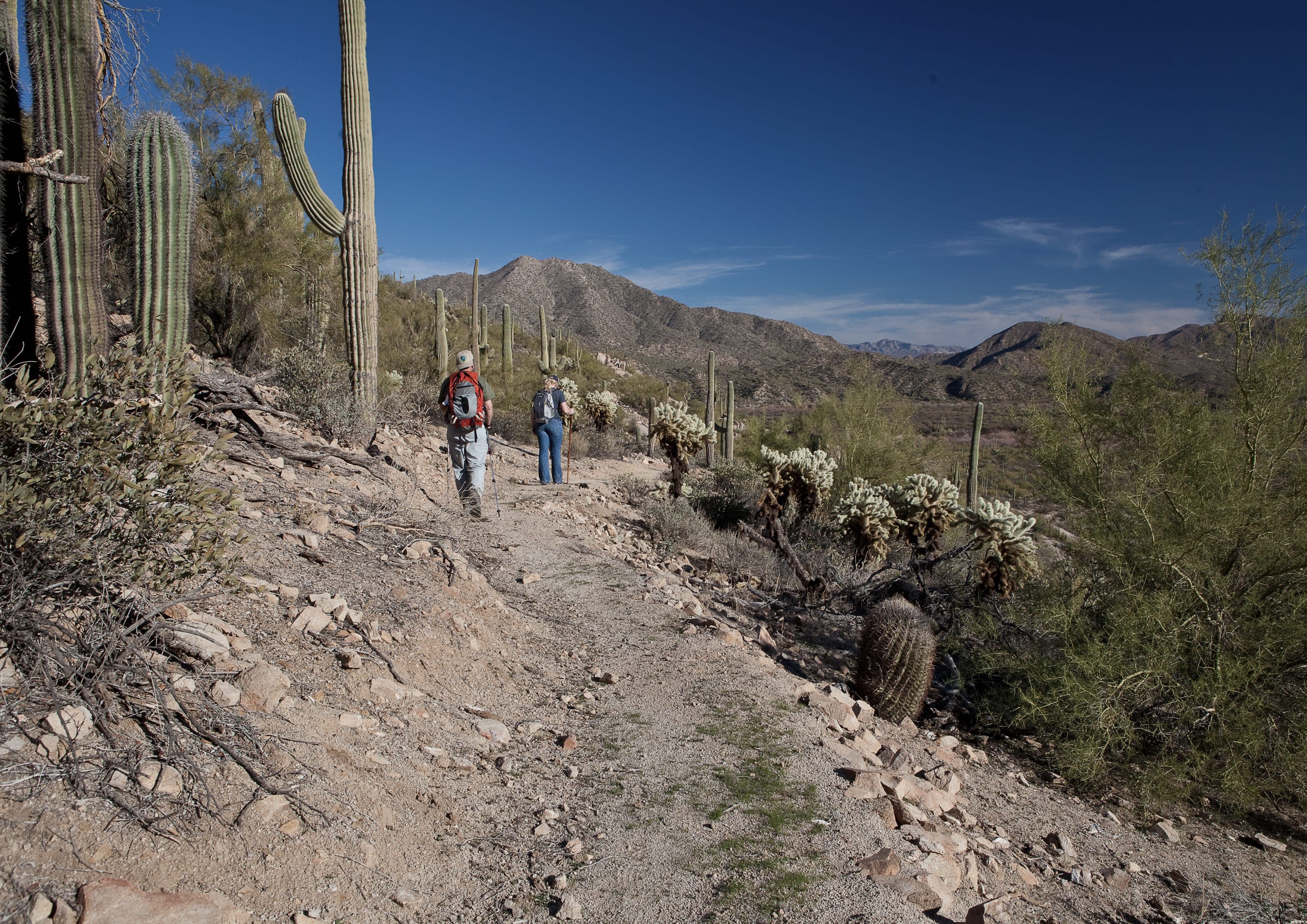 Arizona Trail landscape certificate route preview in United States