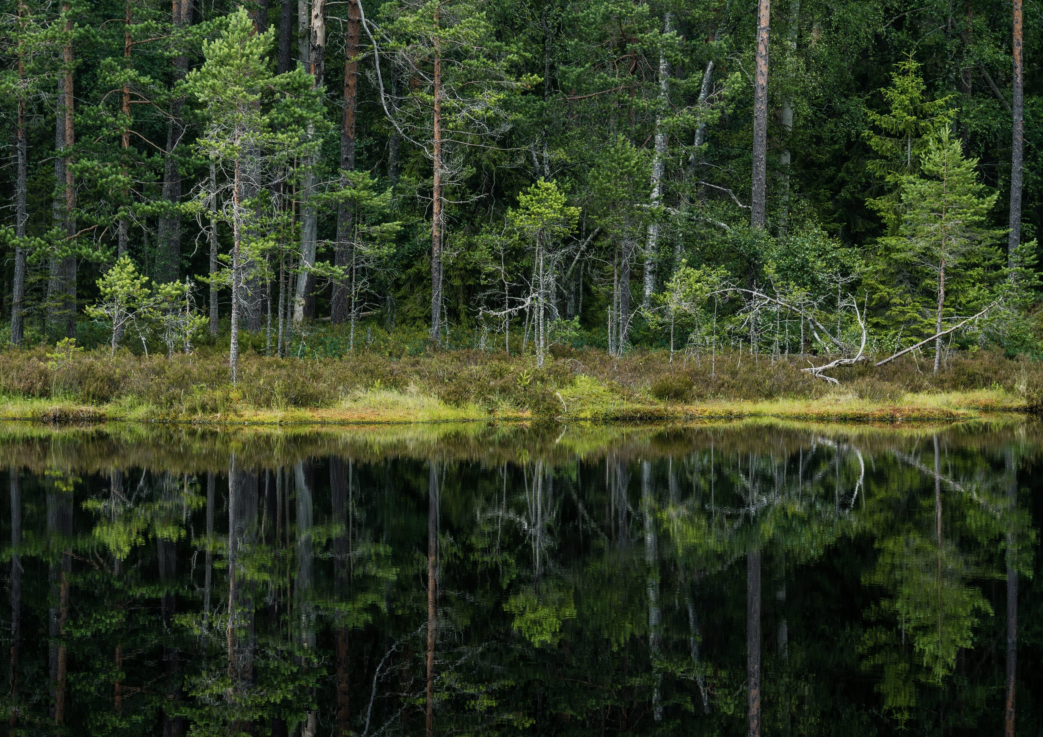 Bergslagsleden landscape certificate route preview in Sweden
