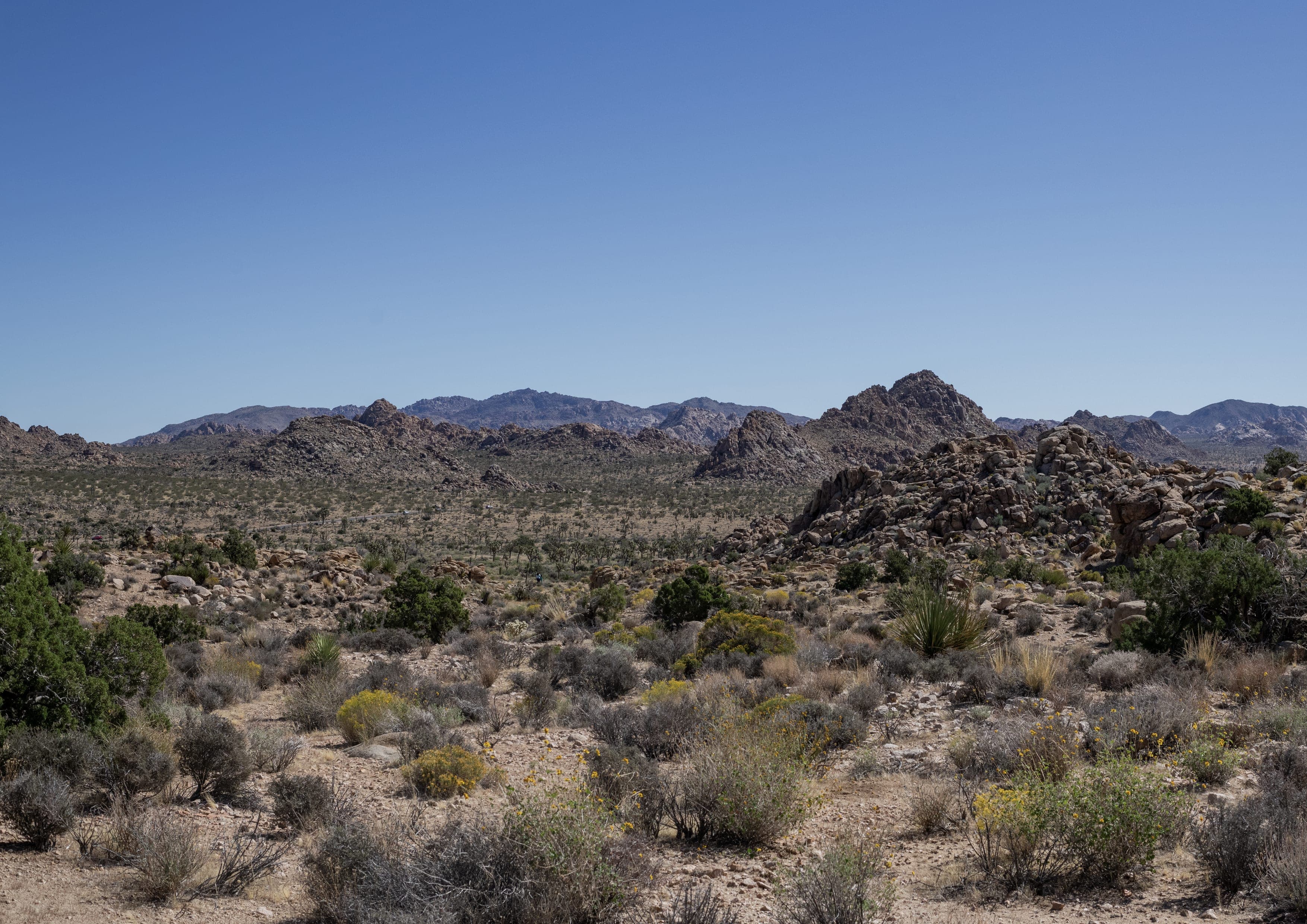 Bigfoot Trail landscape certificate route preview in United States