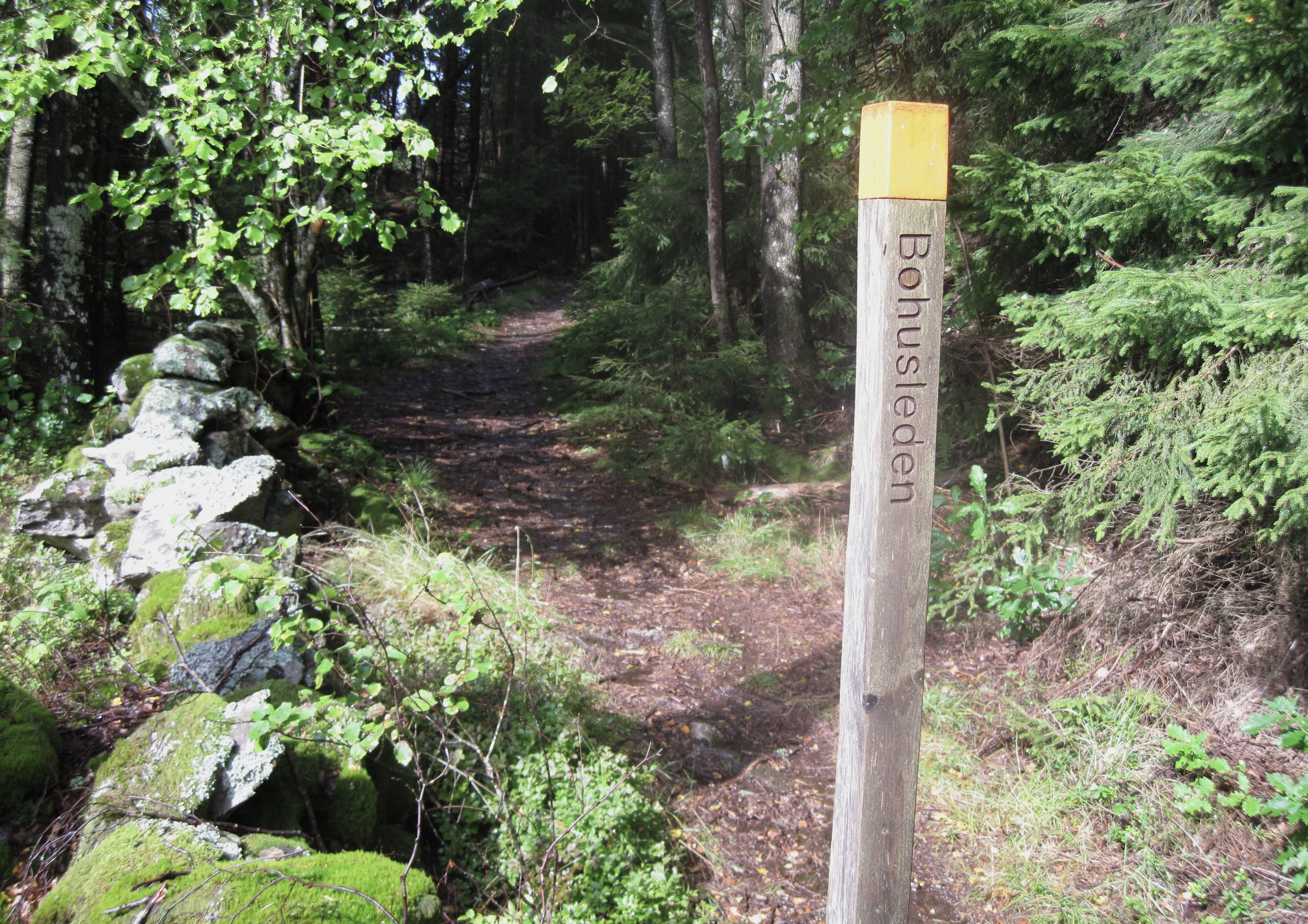 Bohusleden landscape certificate route preview in Sweden