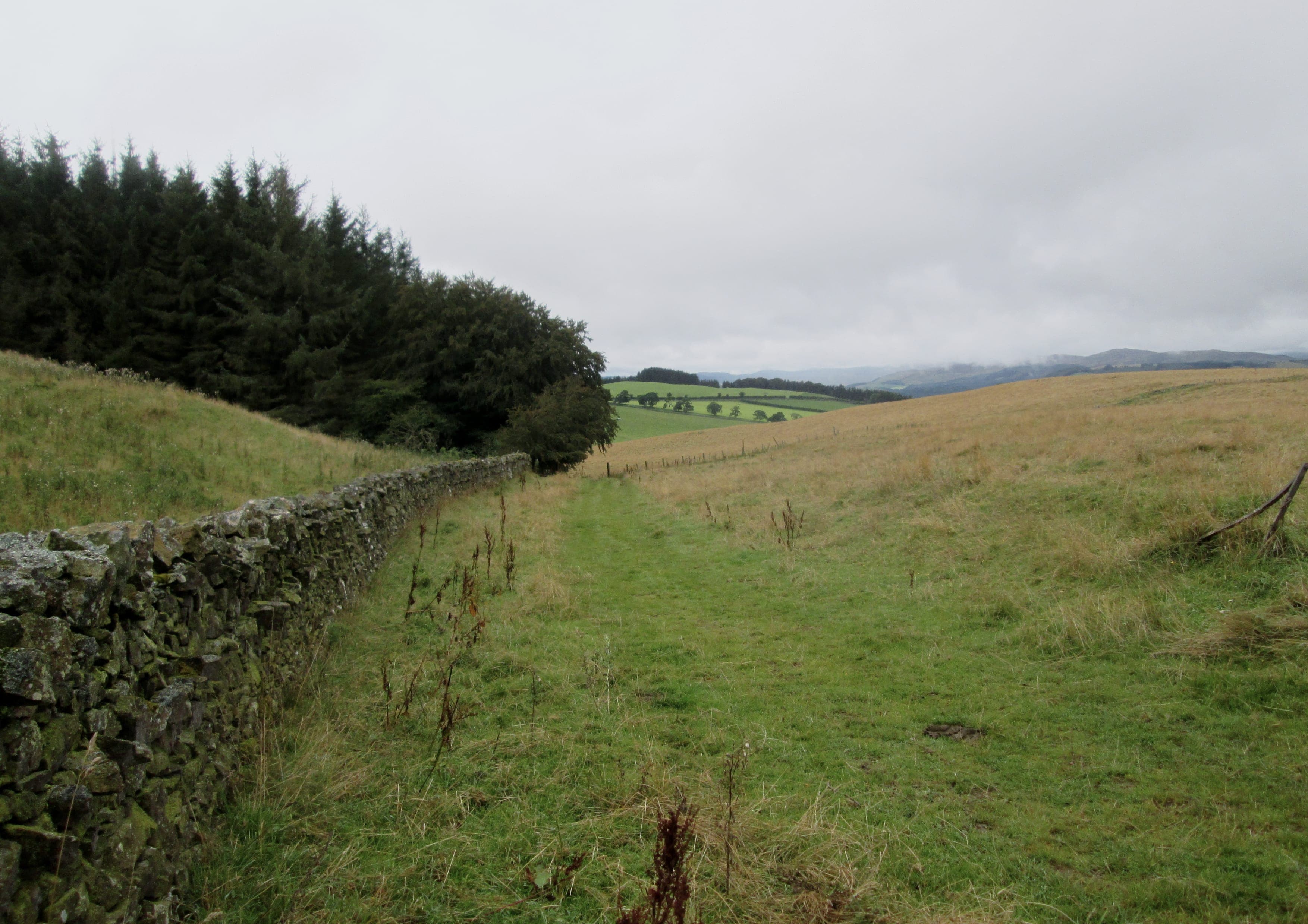 Borders Abbeys Way landscape certificate route preview in United Kingdom