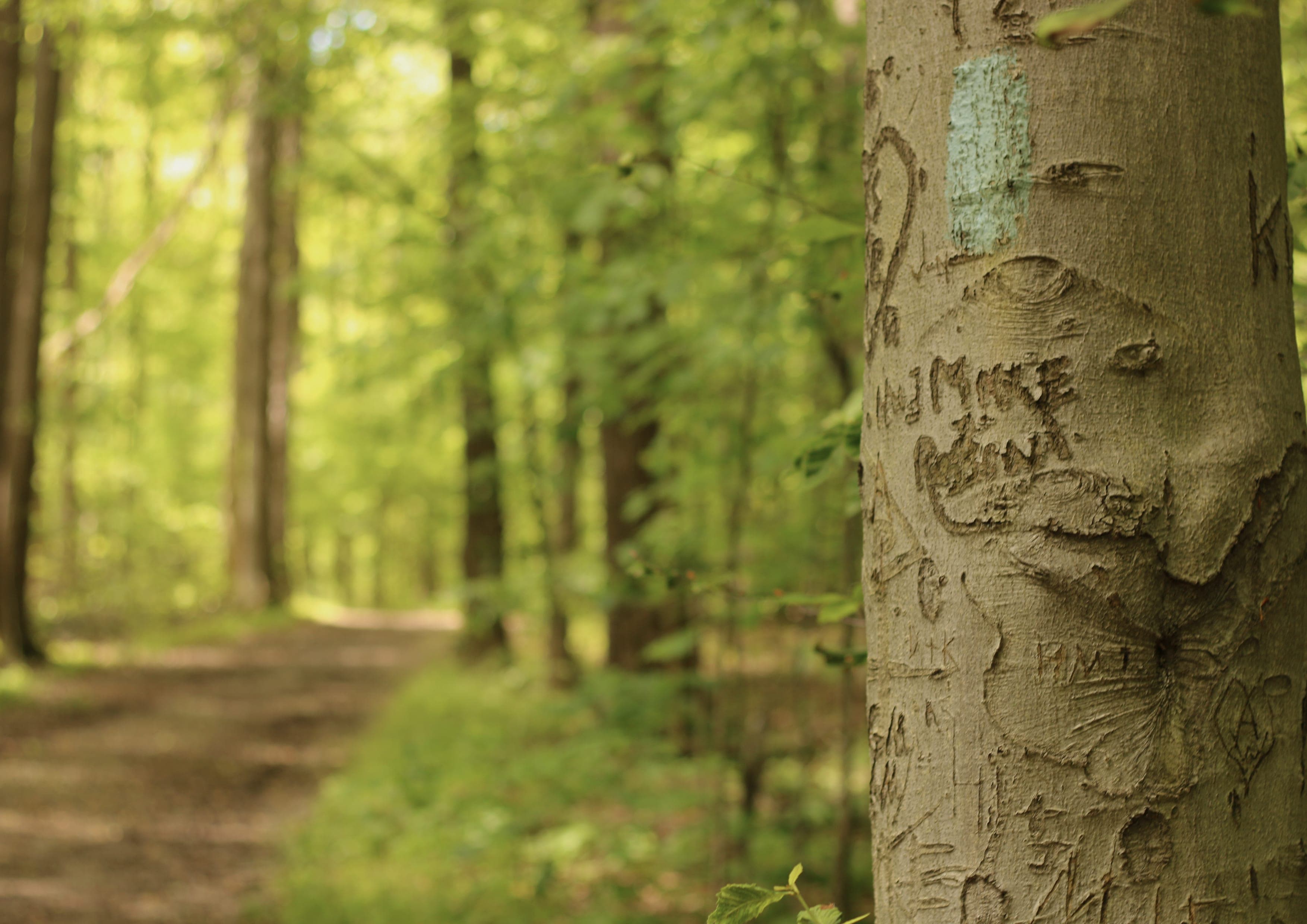Buckeye Trail landscape certificate route preview in United States