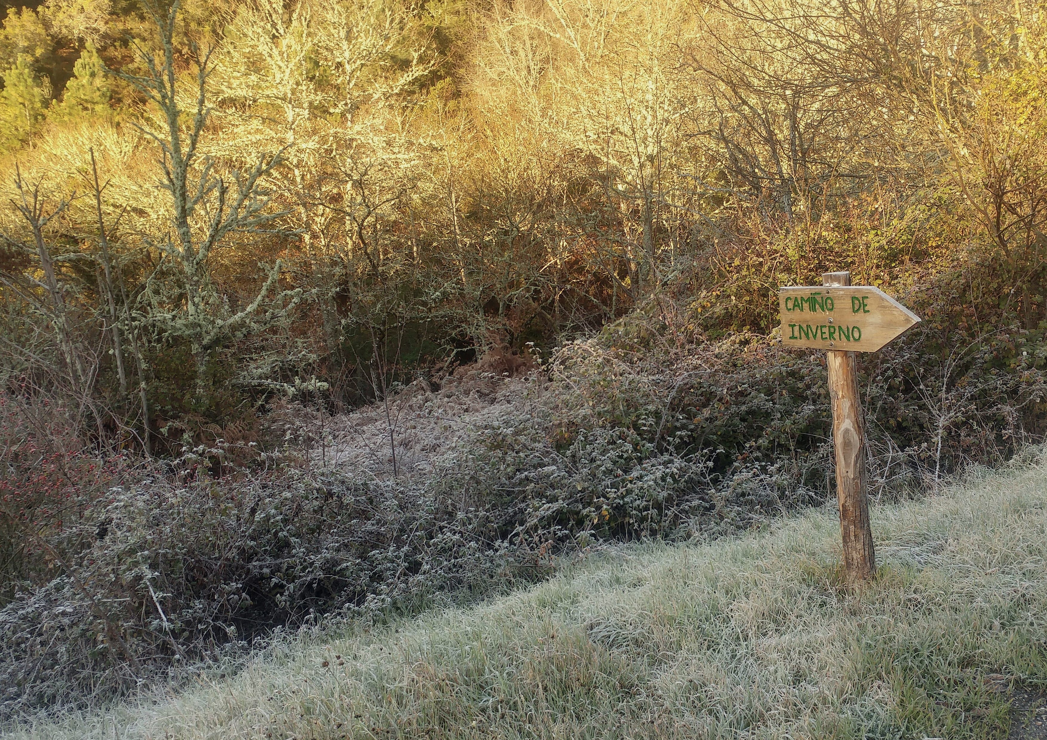 Camino de Invierno landscape certificate route preview in Spain