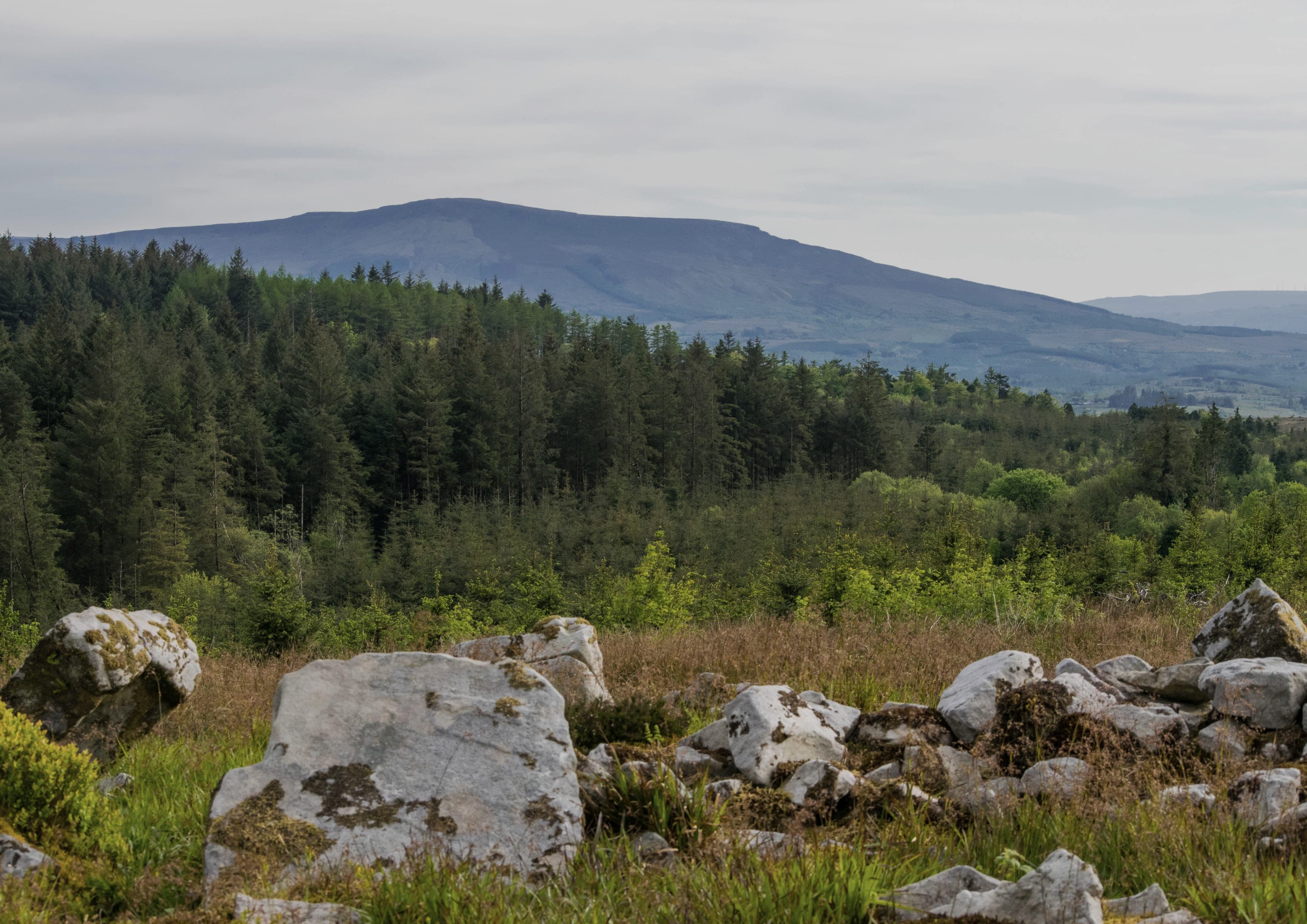 Cavan Way landscape certificate route preview in Ireland and United Kingdom