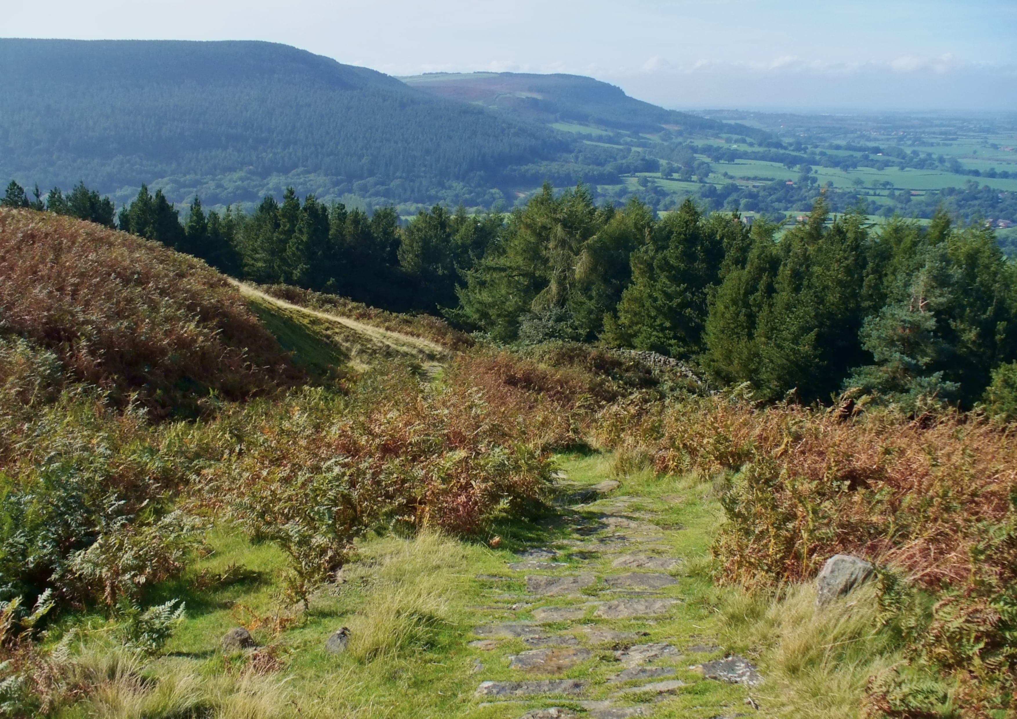 Cleveland Way landscape certificate route preview in United Kingdom