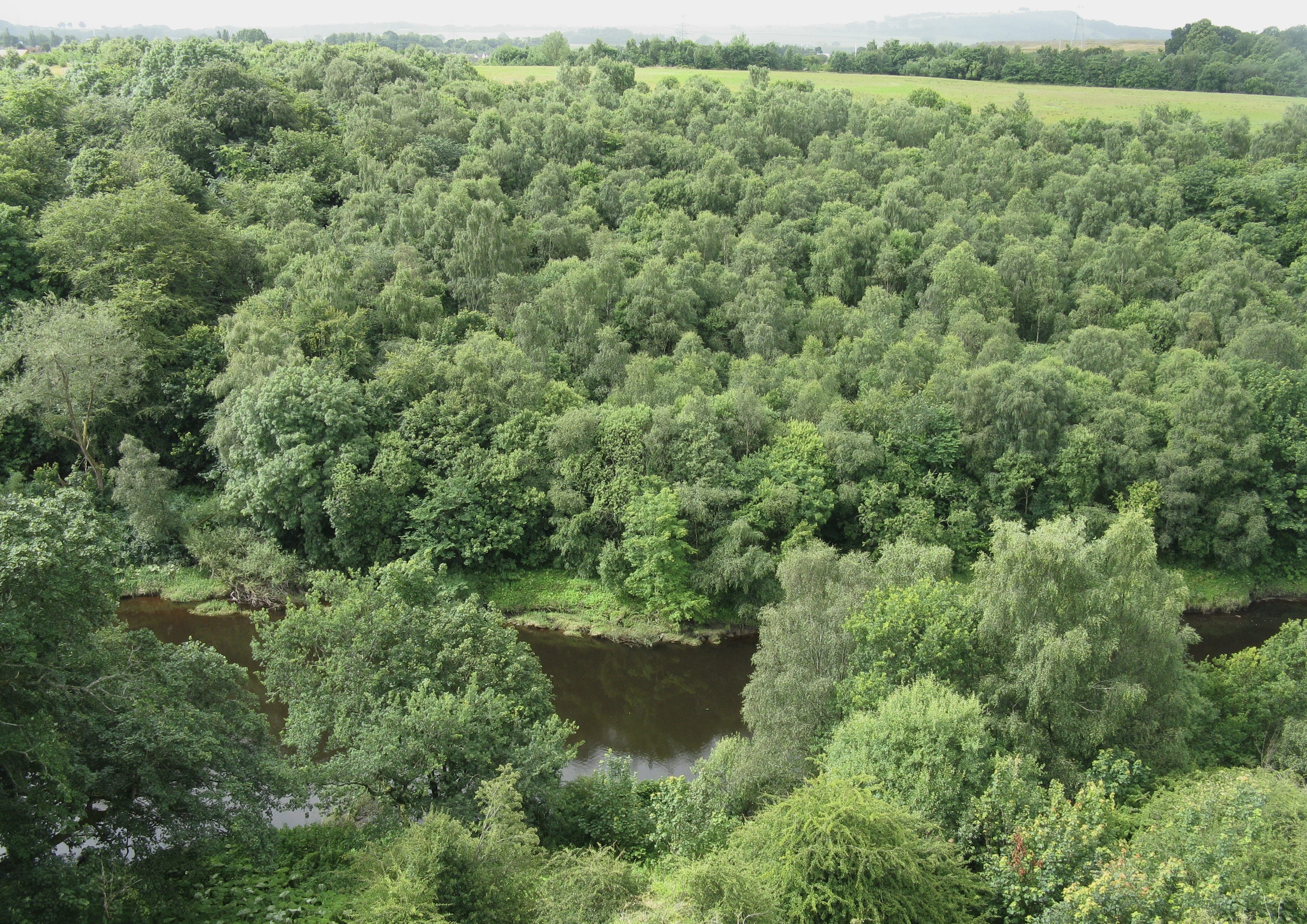 Clyde Walkway landscape certificate route preview in United Kingdom