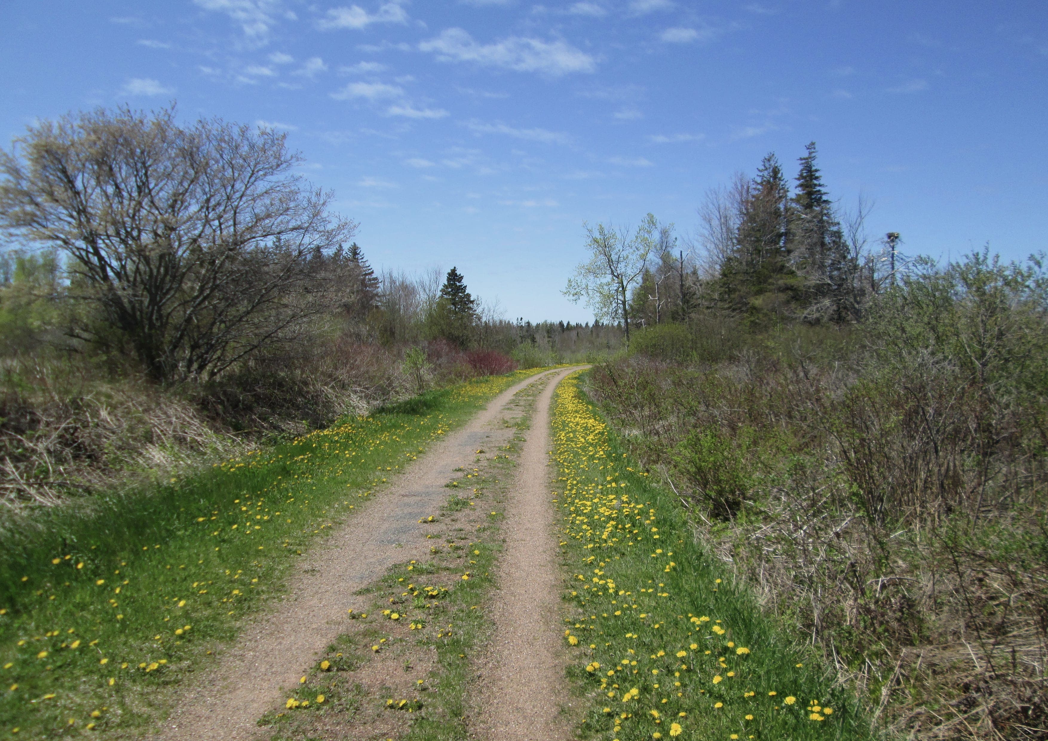 Confederation Trail landscape certificate route preview in Canada