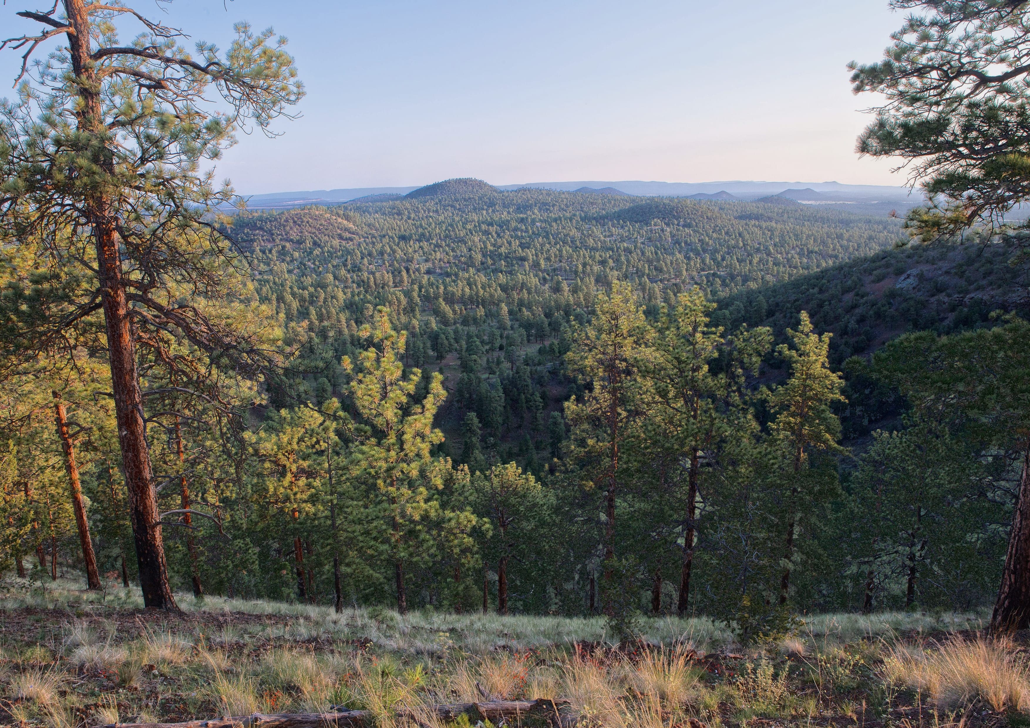 Continental Divide Trail landscape certificate route preview in United States