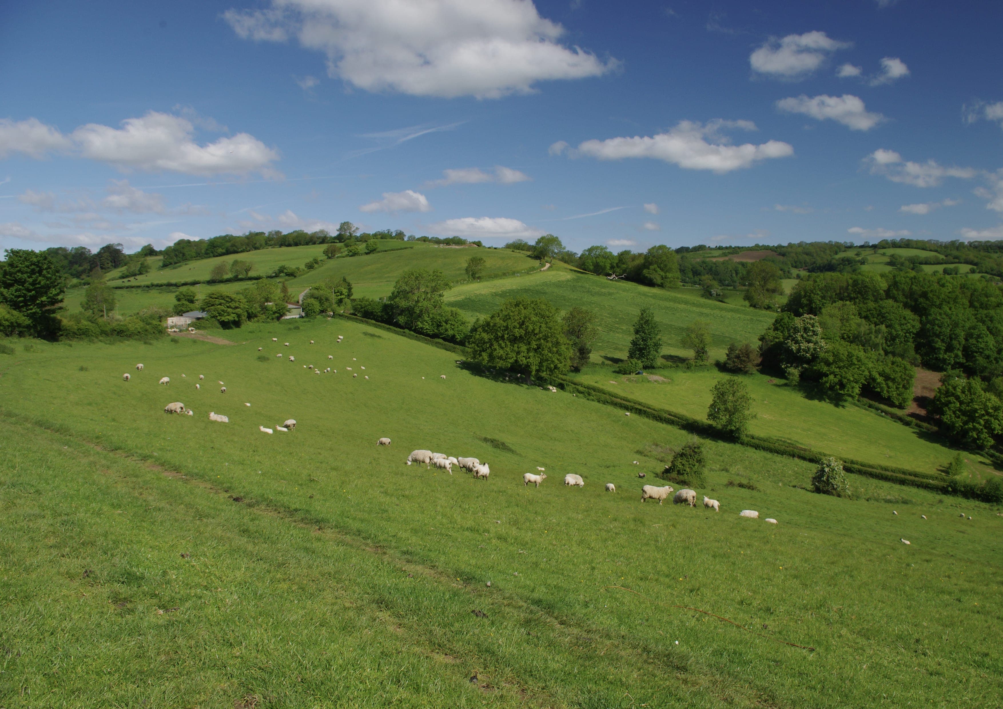 Cotswold Way landscape certificate route preview in United Kingdom
