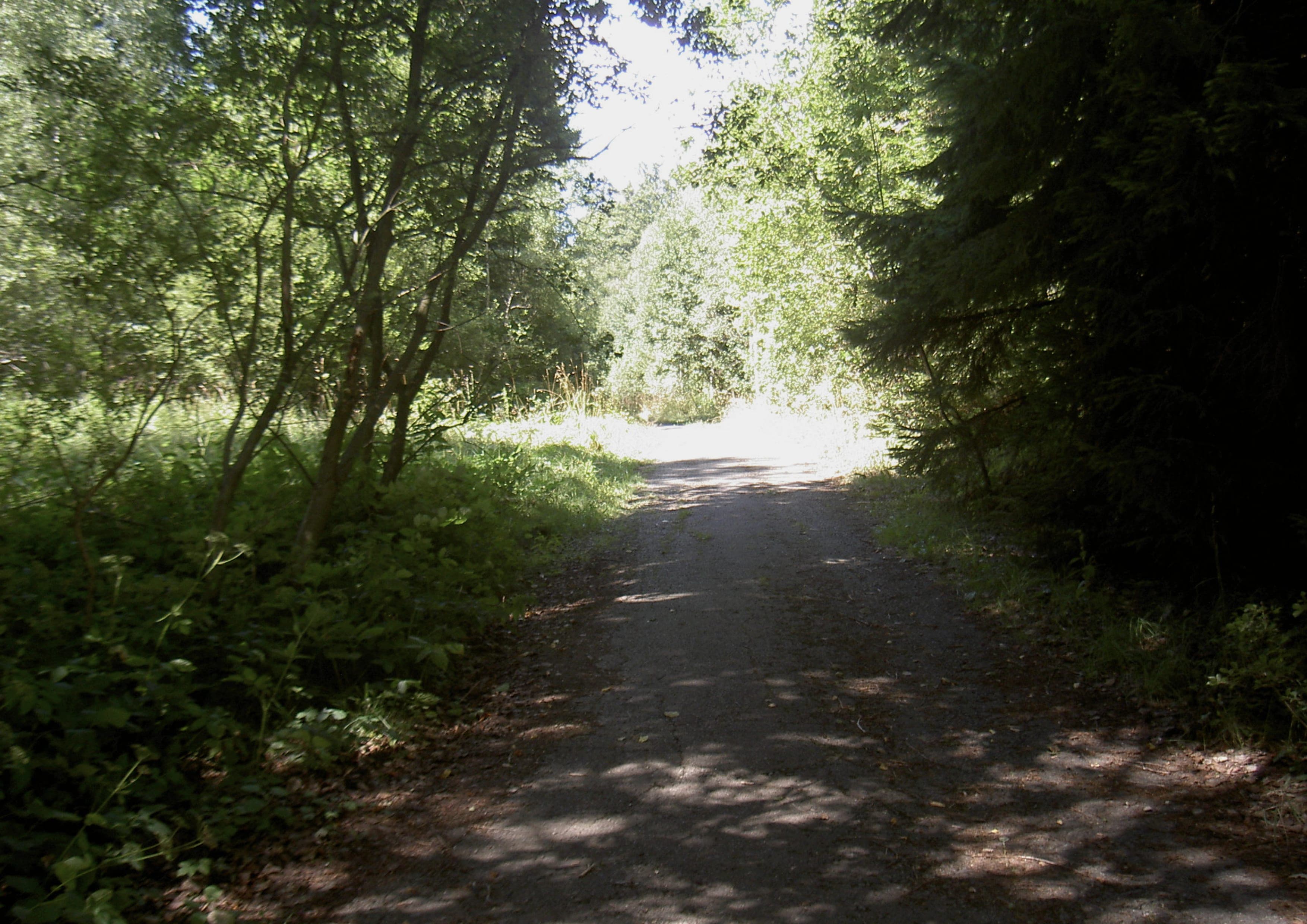 Goldsteig landscape certificate route preview in Germany