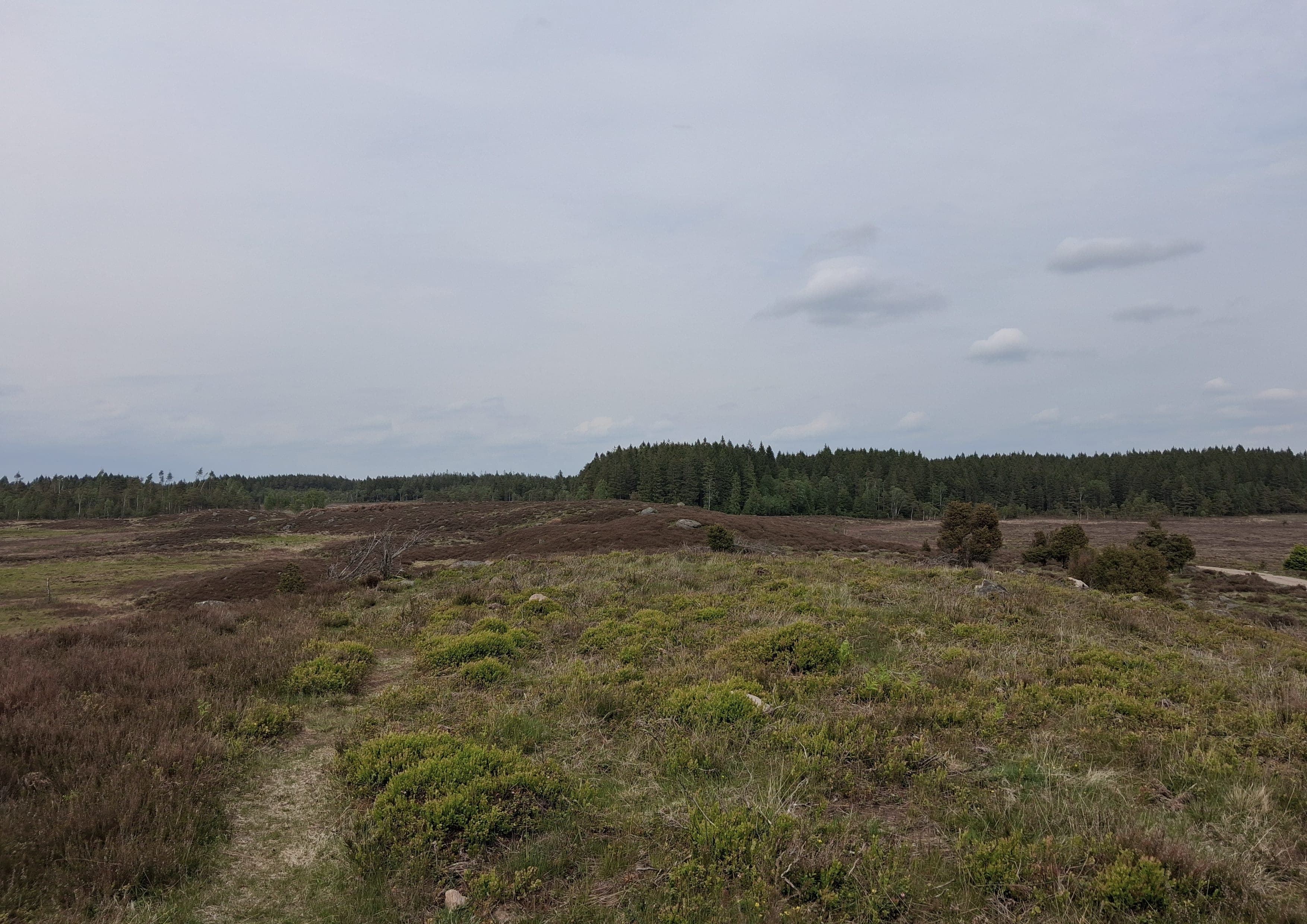 Hallandsleden landscape certificate route preview in Sweden