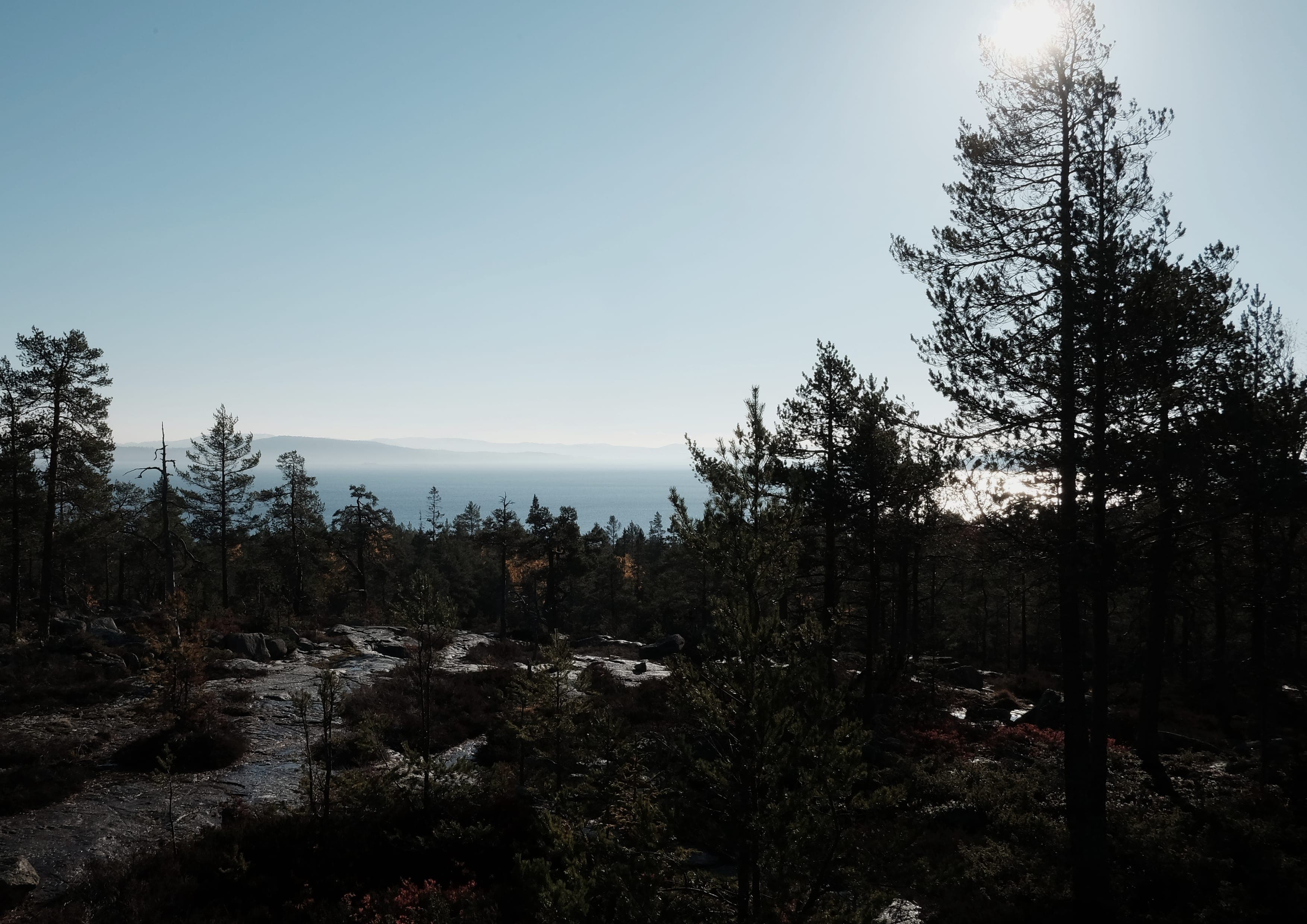 Höga Kustenleden landscape certificate route preview in Sweden