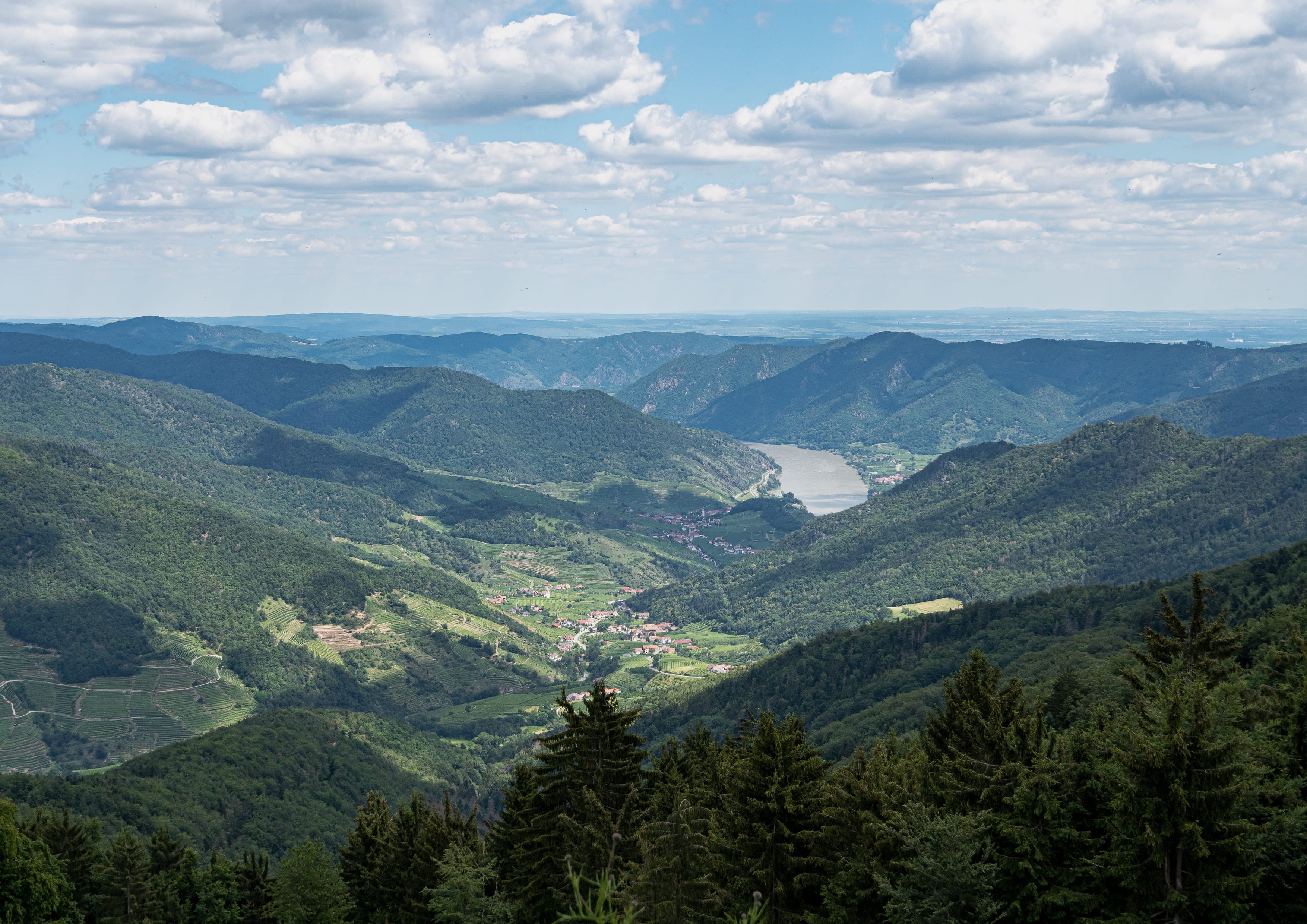 Jauerling-Runde landscape certificate route preview in Austria
