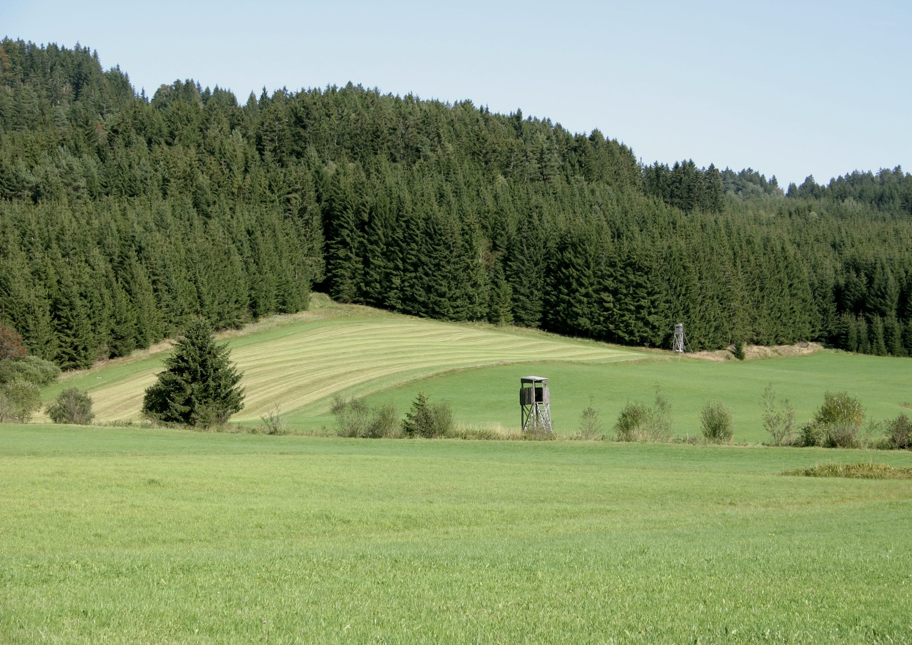 Johannesweg landscape certificate route preview in Austria