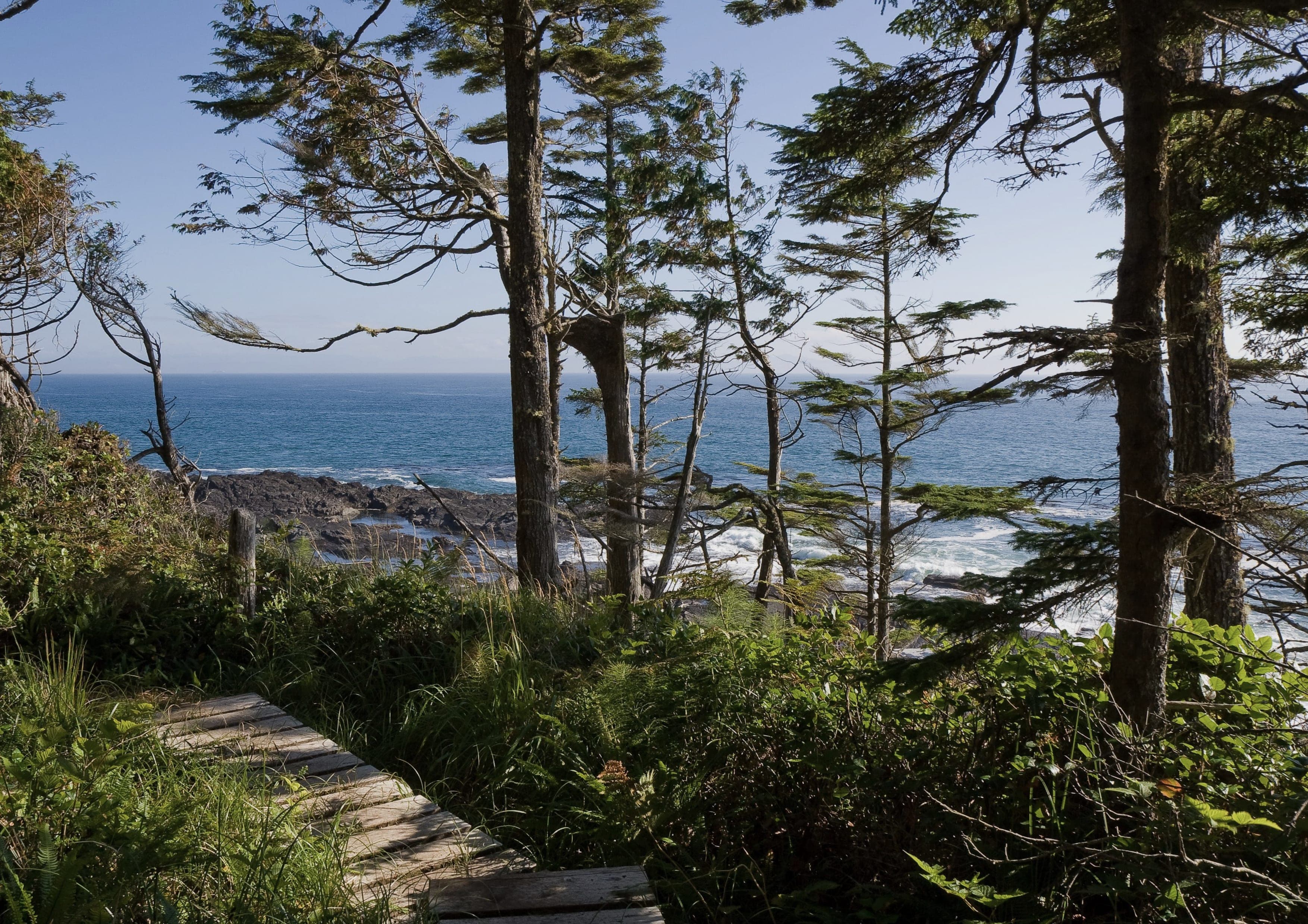 Juan de Fuca Trail landscape certificate route preview in Canada