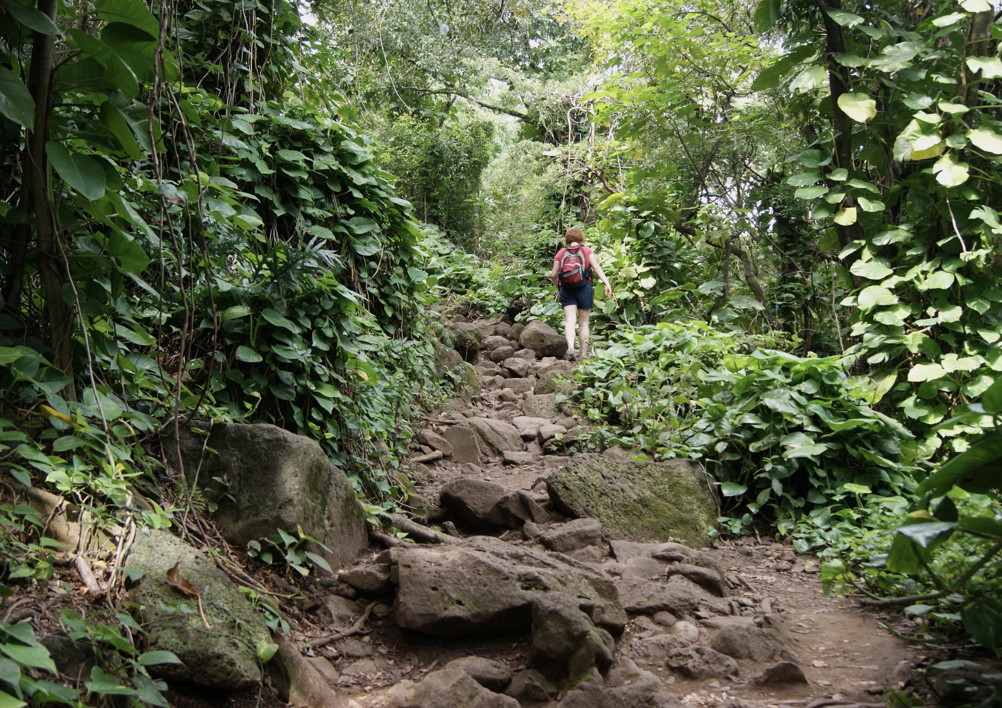 Kalalau Trail landscape certificate route preview in United States