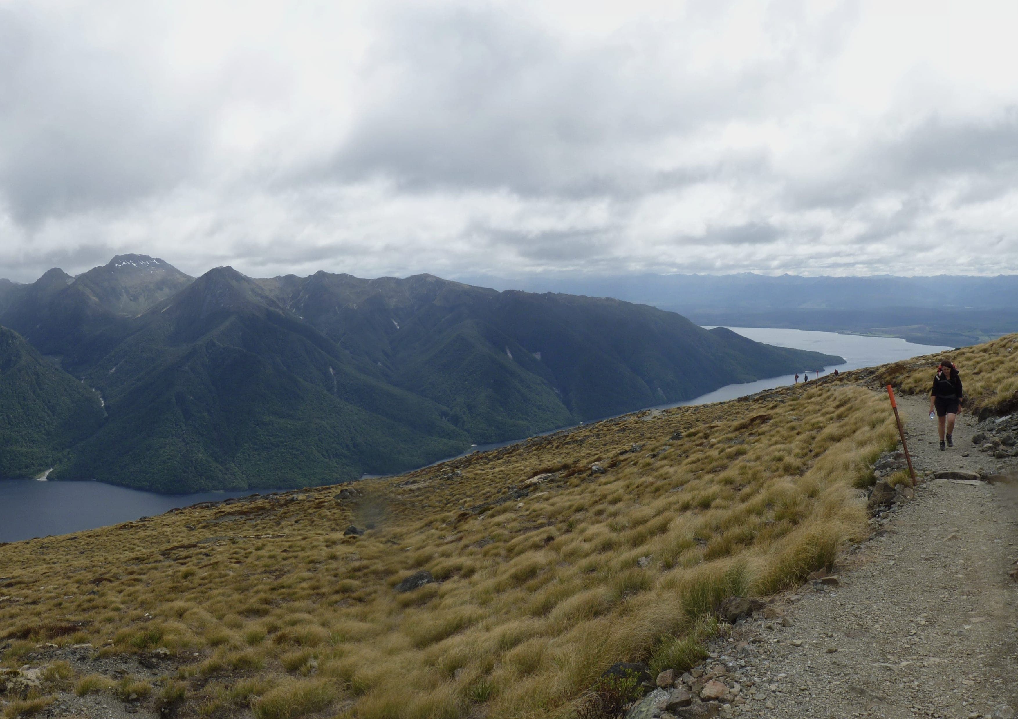 Kepler Track landscape certificate route preview in New Zealand