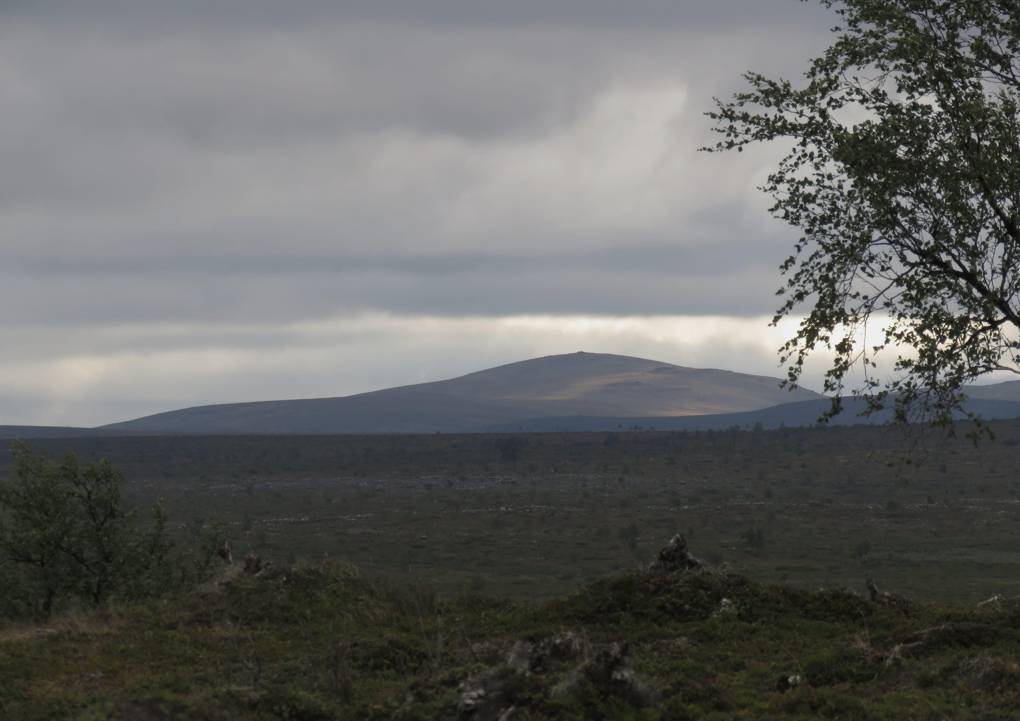 Kevo Trail landscape certificate route preview in Finland