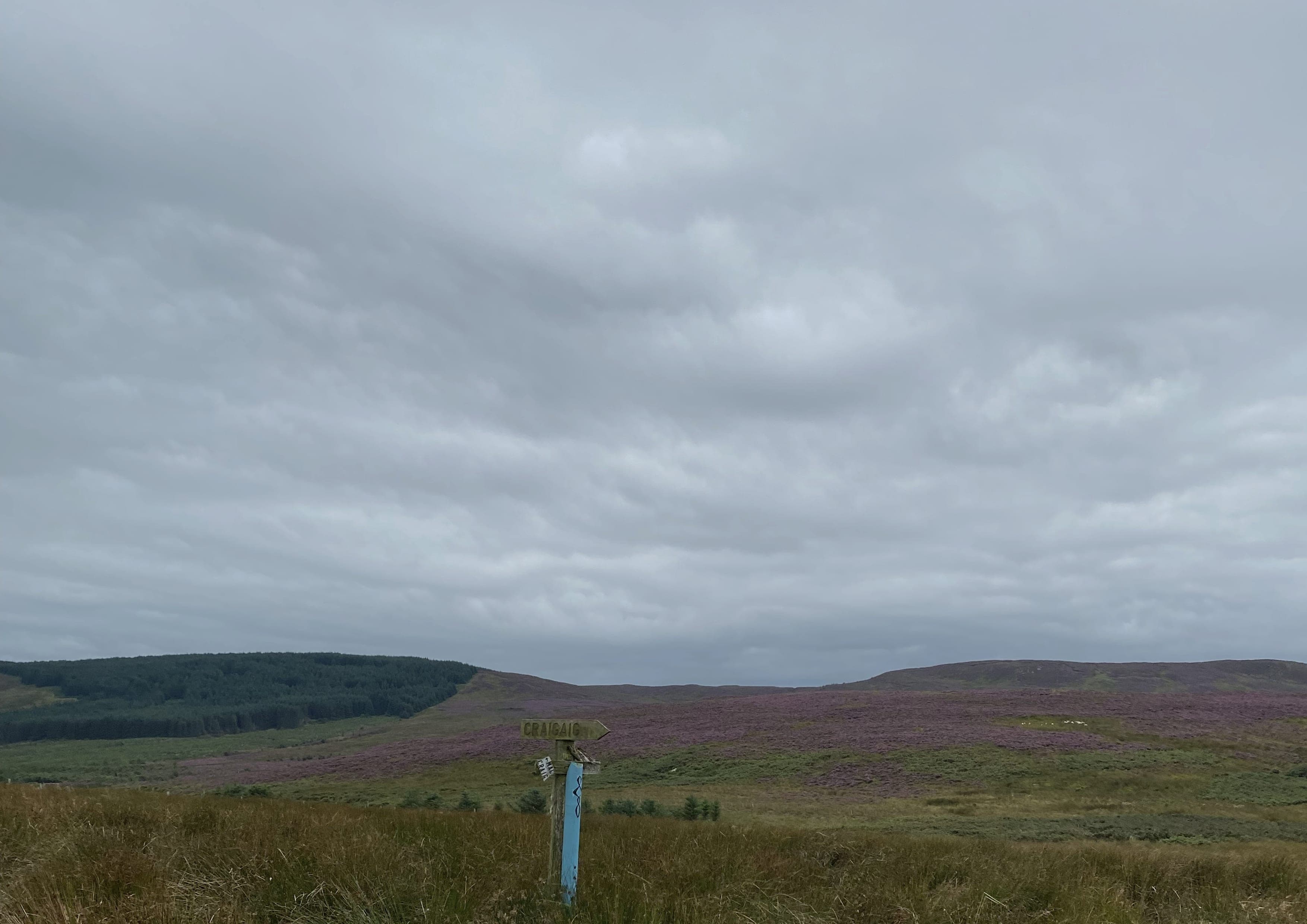Kintyre Way landscape certificate route preview in United Kingdom