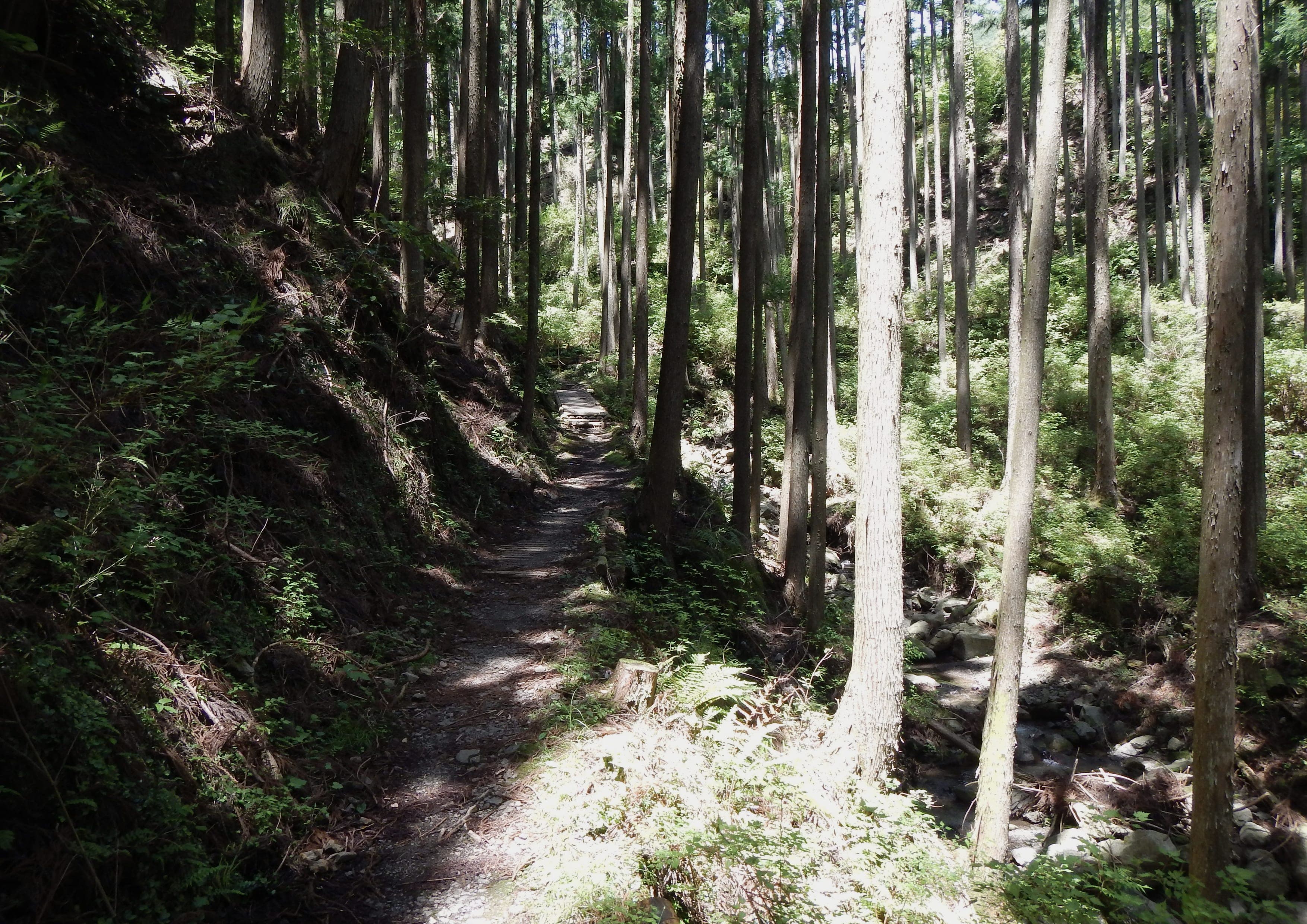 Kumano Kodo Nakahechi Route landscape certificate route preview in Japan