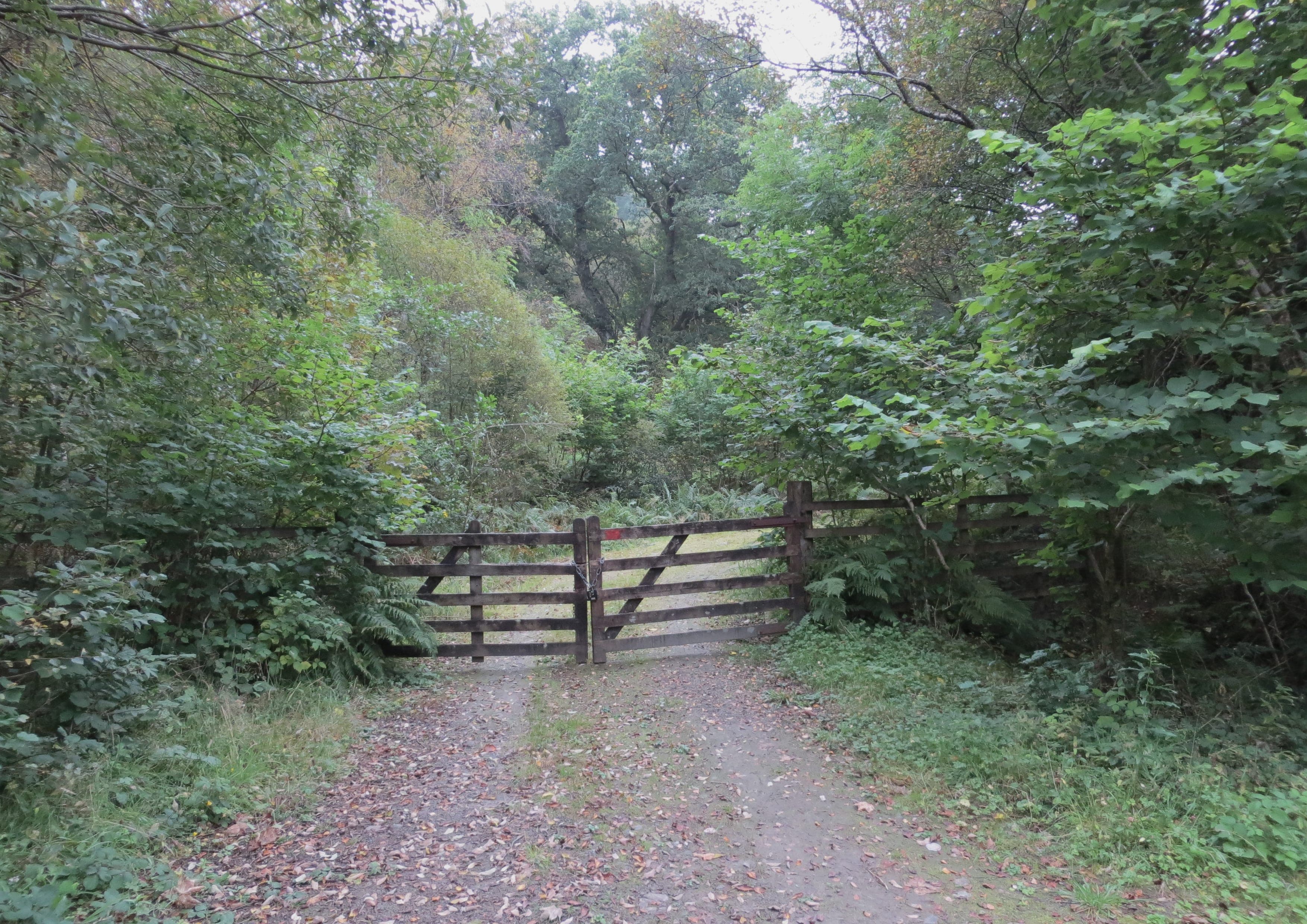 Loch Lomond and Cowal Way landscape certificate route preview in United Kingdom