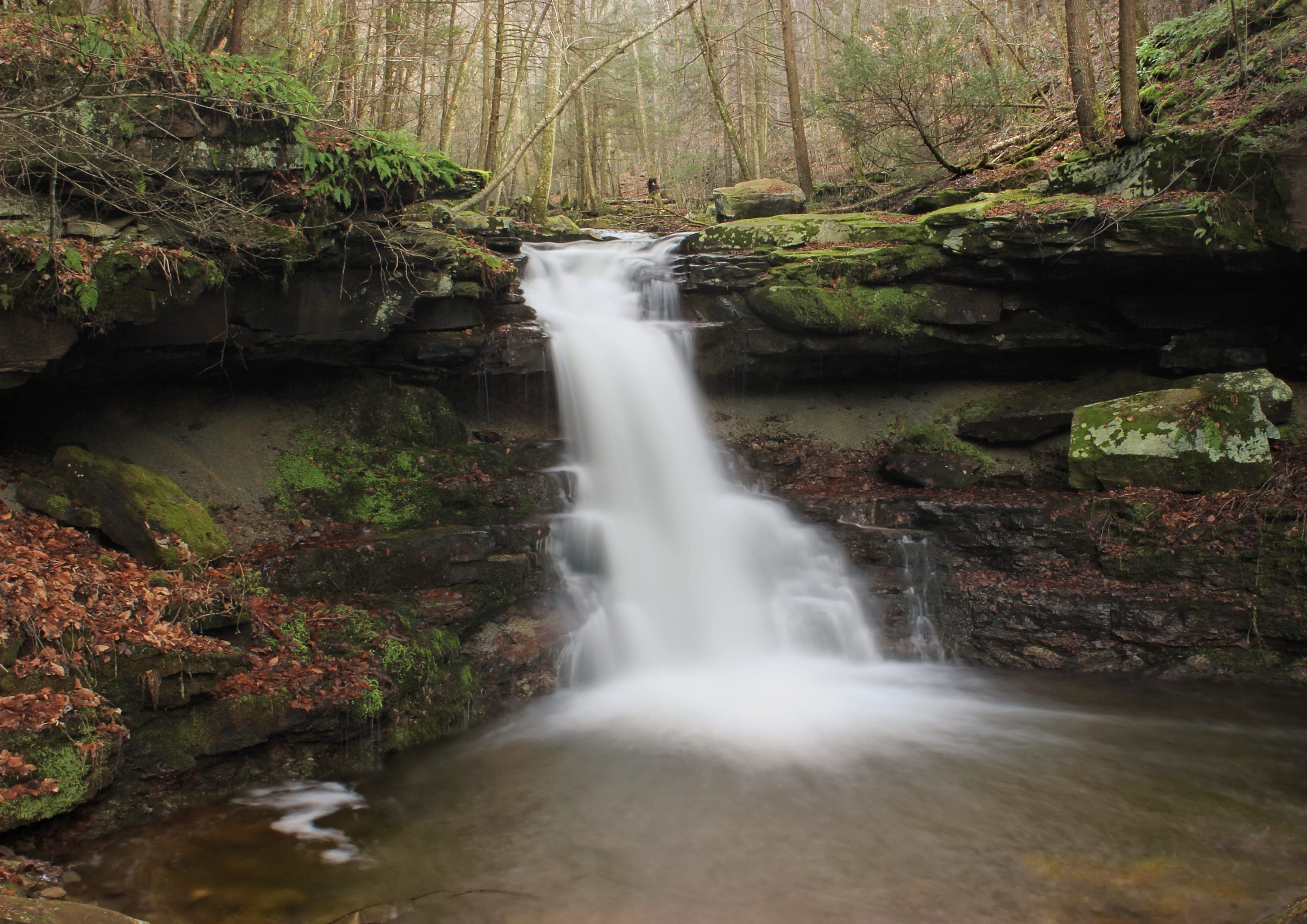Loyalsock Trail landscape certificate route preview in United States