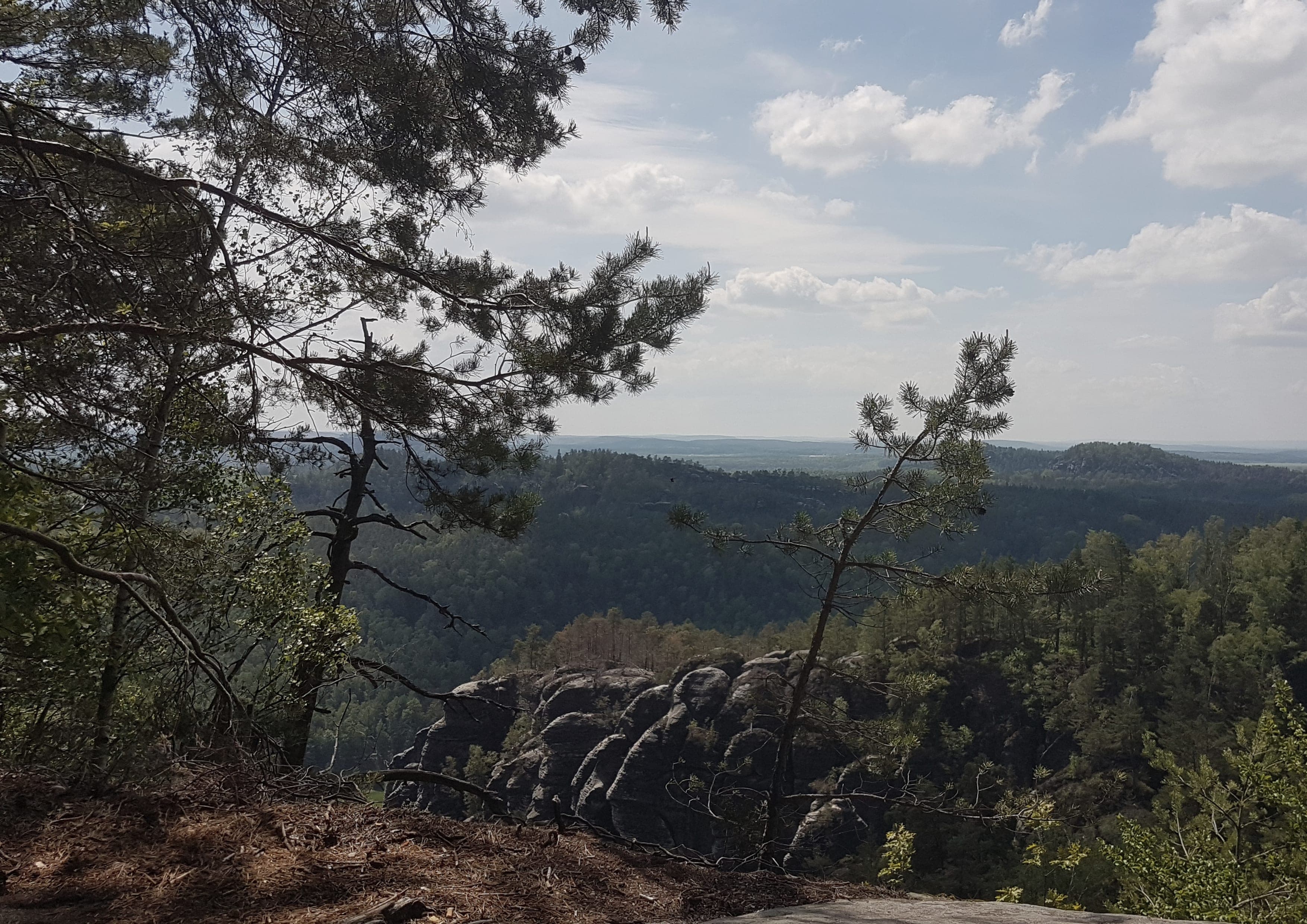 Malerweg landscape certificate route preview in Germany