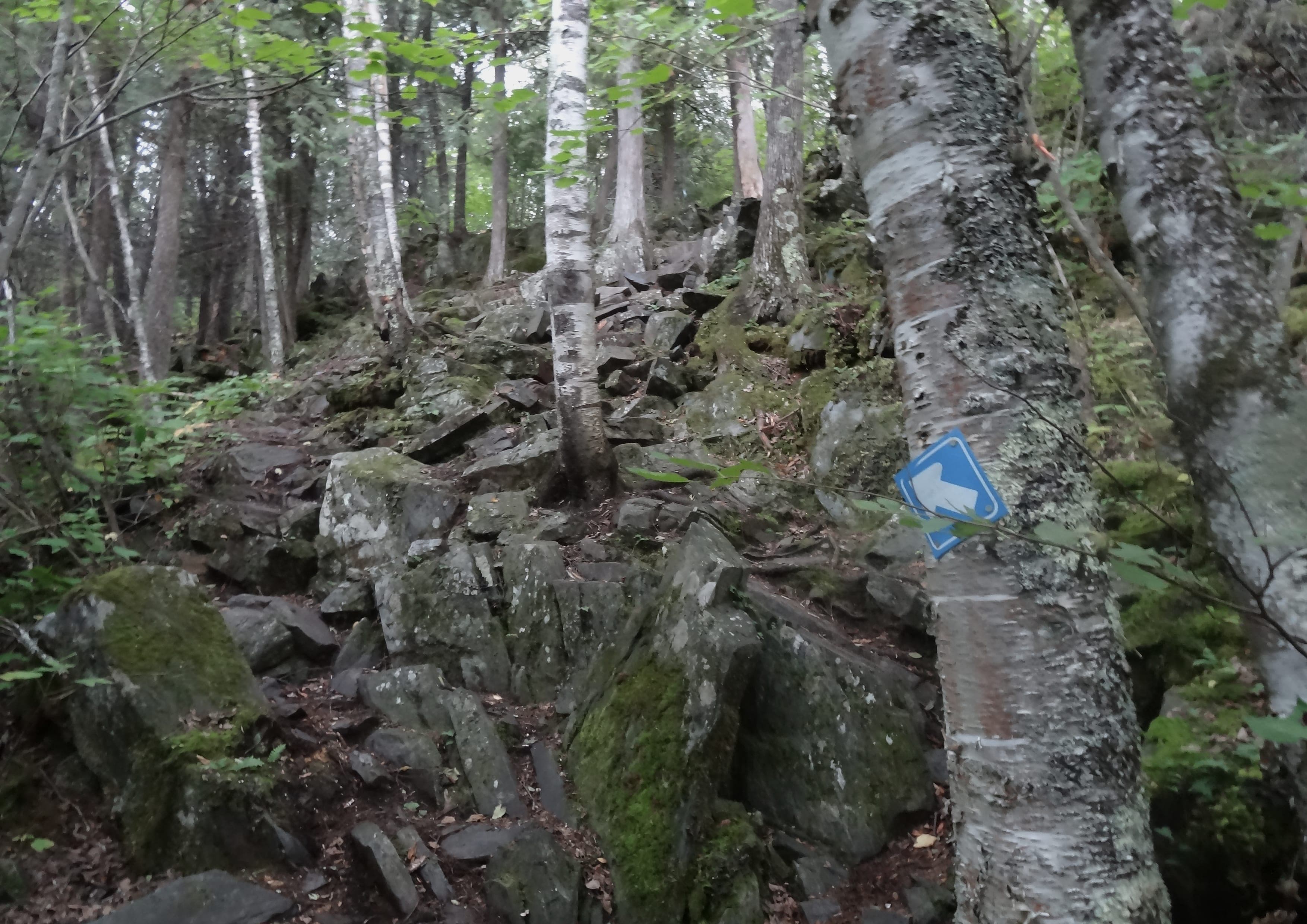 Mantario Trail landscape certificate route preview in Canada