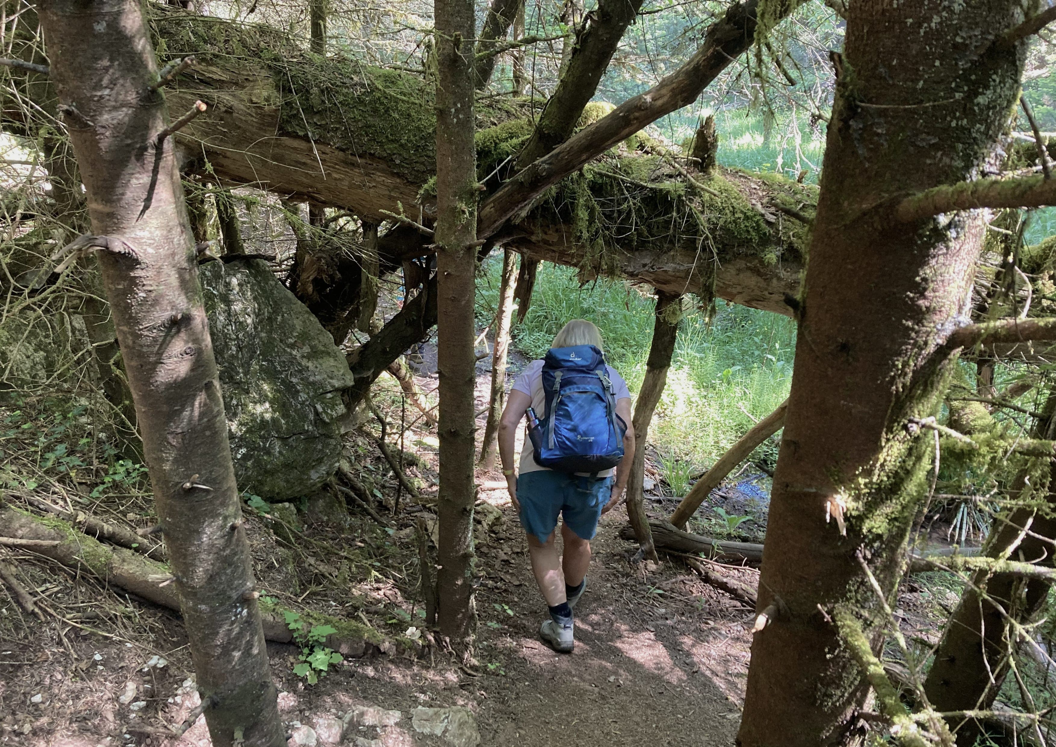 Menalon Trail landscape certificate route preview in Greece