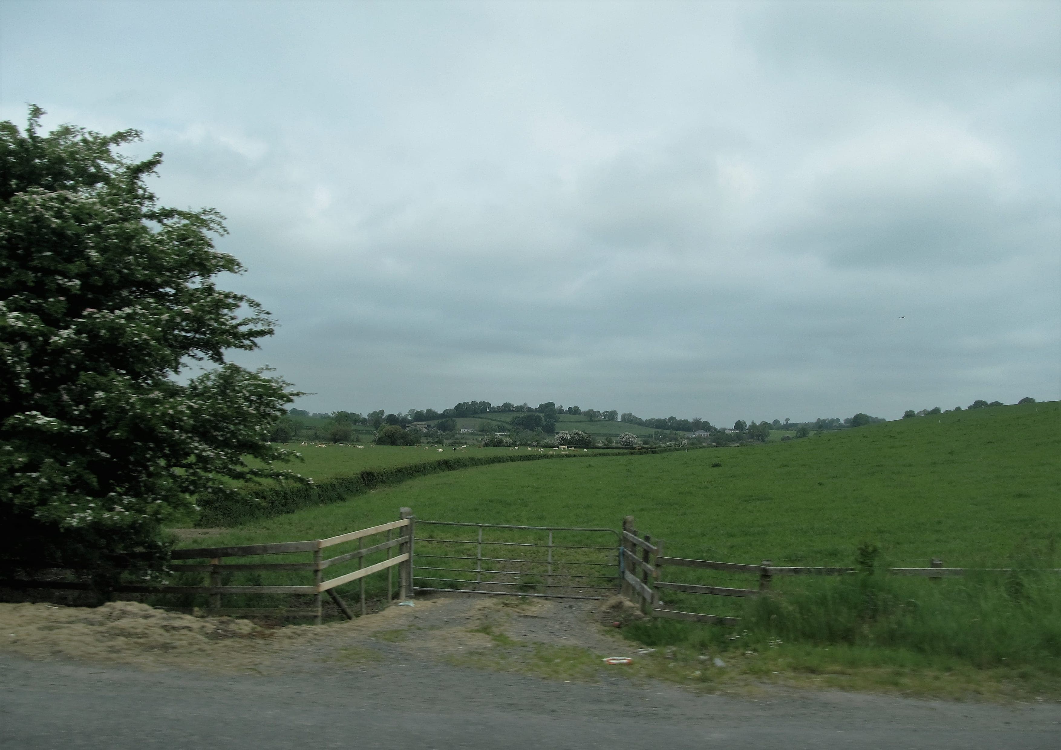 Monaghan Way landscape certificate route preview in Ireland and United Kingdom