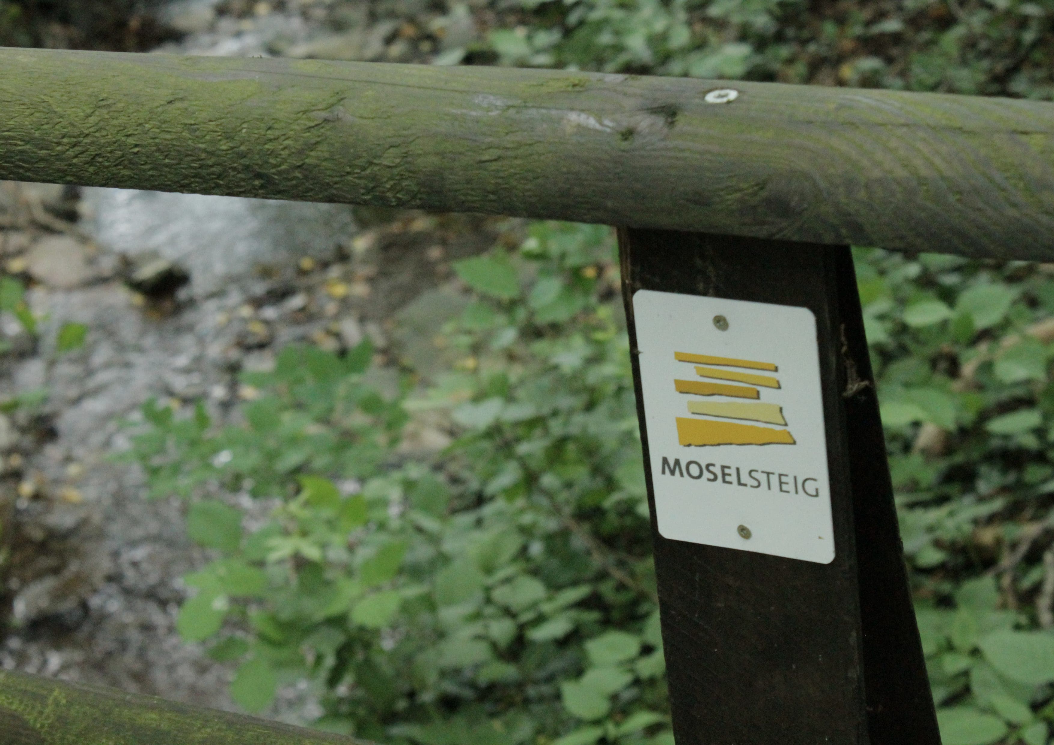 Moselsteig landscape certificate route preview in Germany