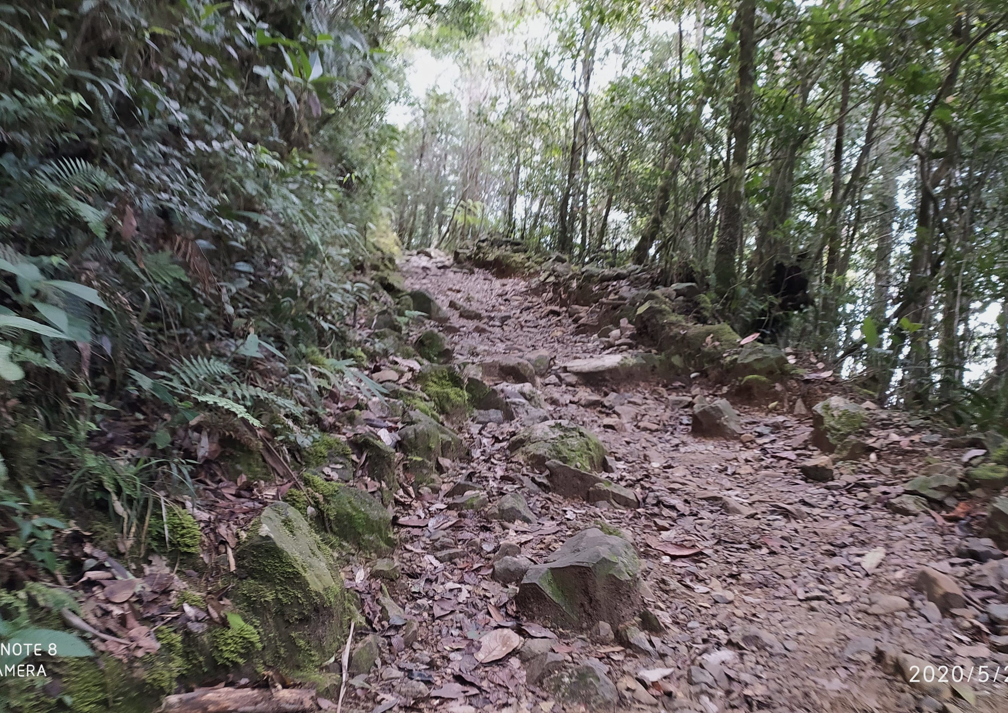 Mount Kinabalu Summit Trail landscape certificate route preview in Malaysia