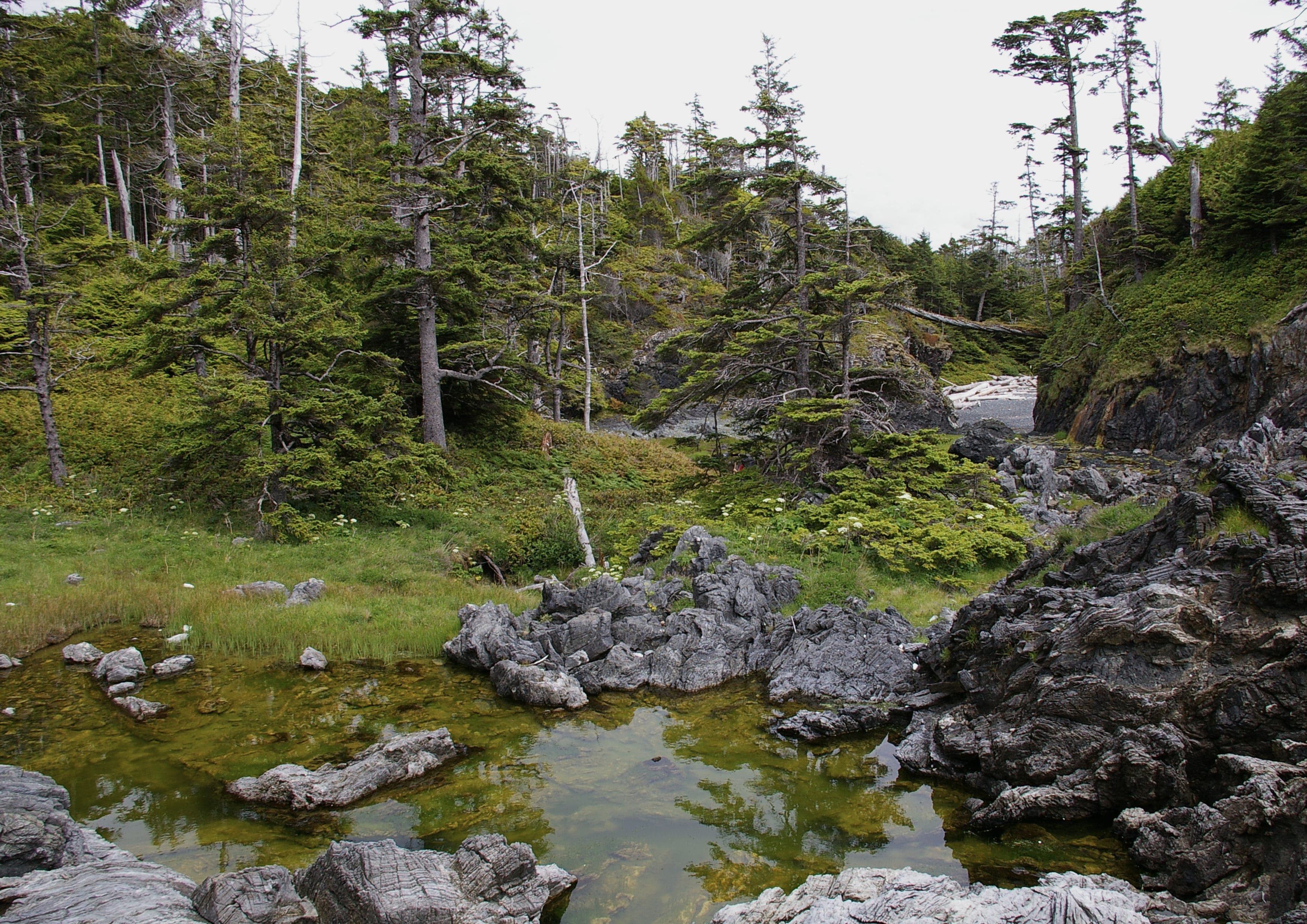 Nootka Trail landscape certificate route preview in Canada