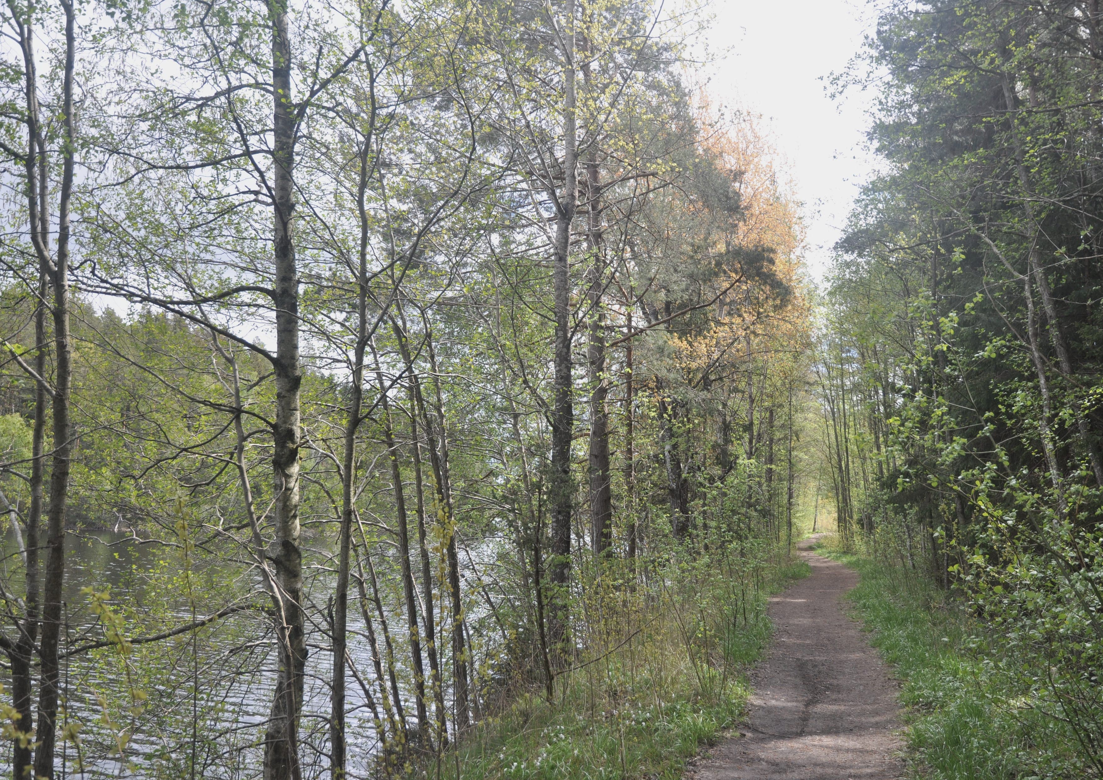 Östgötaleden landscape certificate route preview in Sweden