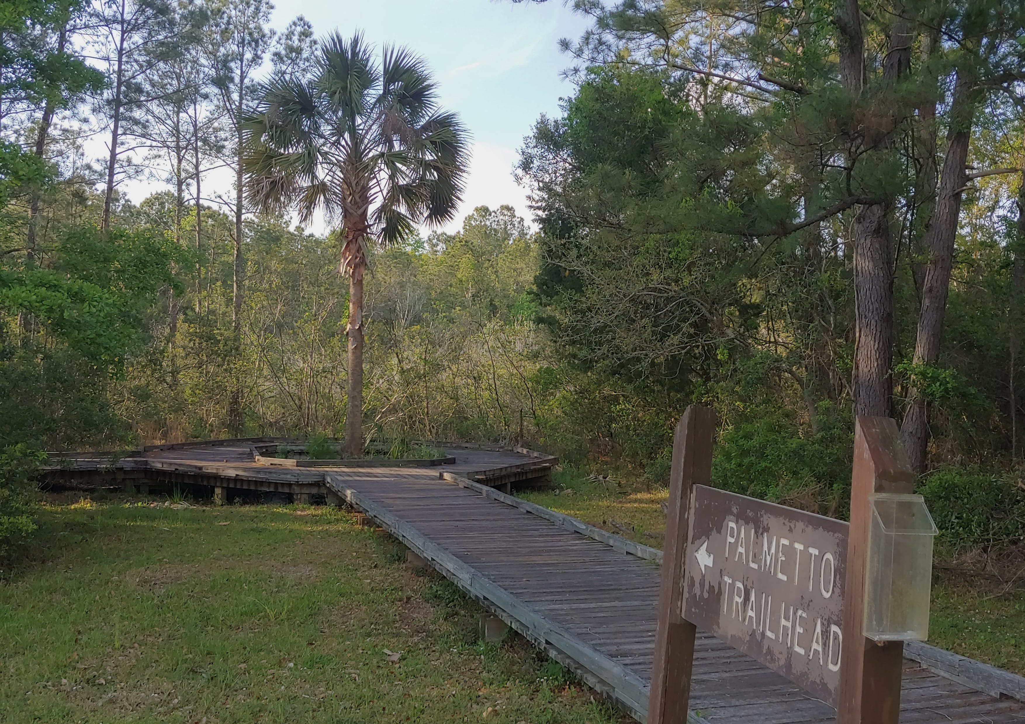Palmetto Trail landscape certificate route preview in United States