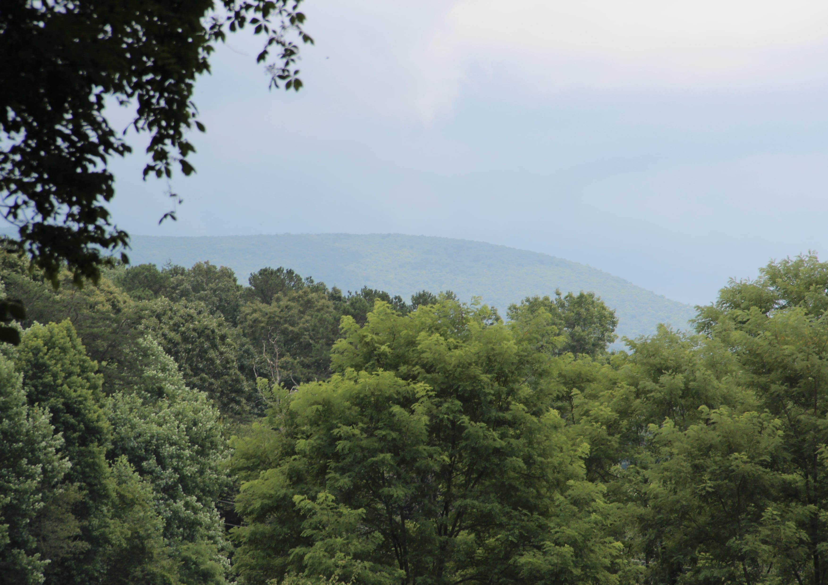 Pinhoti Trail landscape certificate route preview in United States