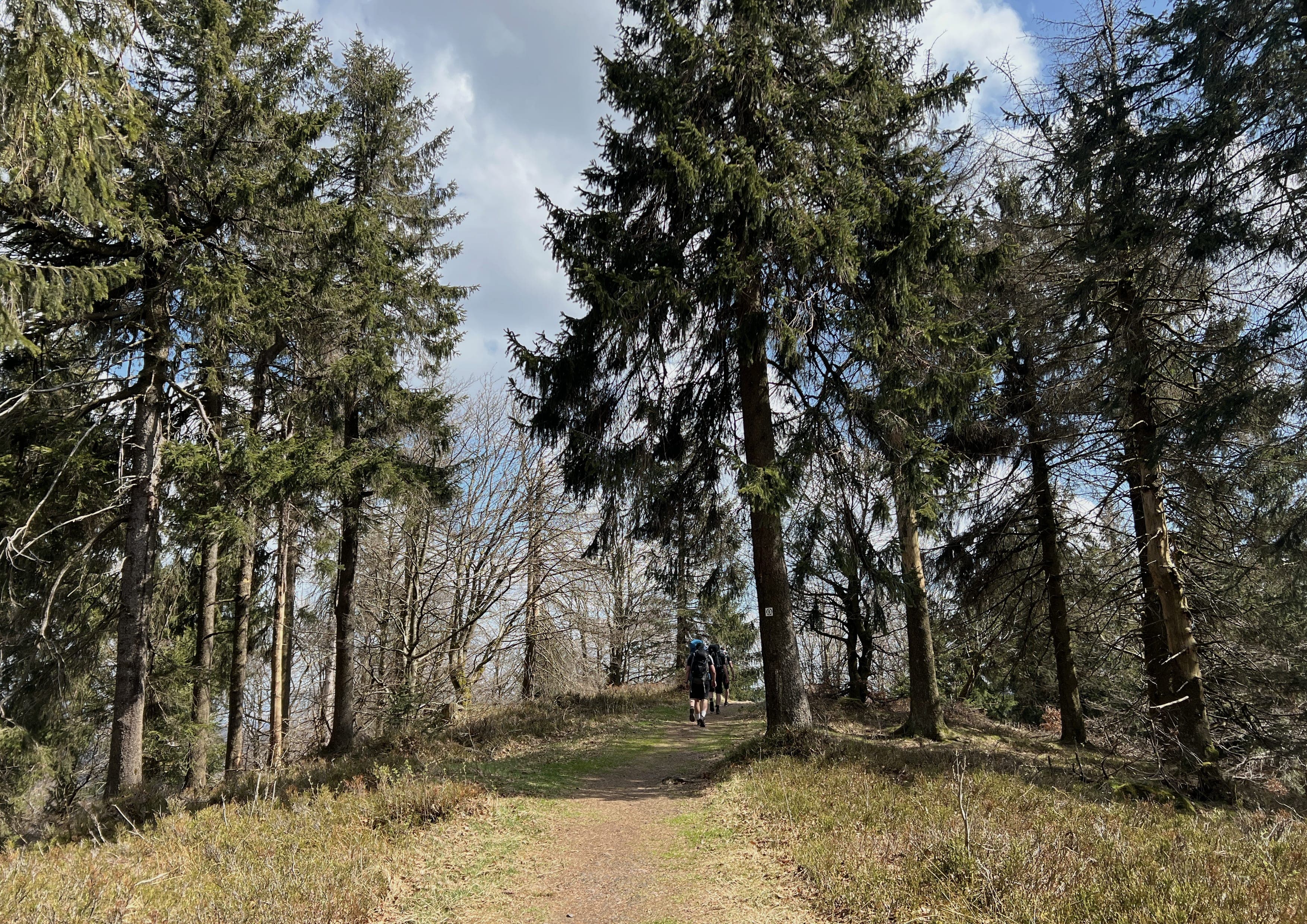 Rennsteig landscape certificate route preview in Germany