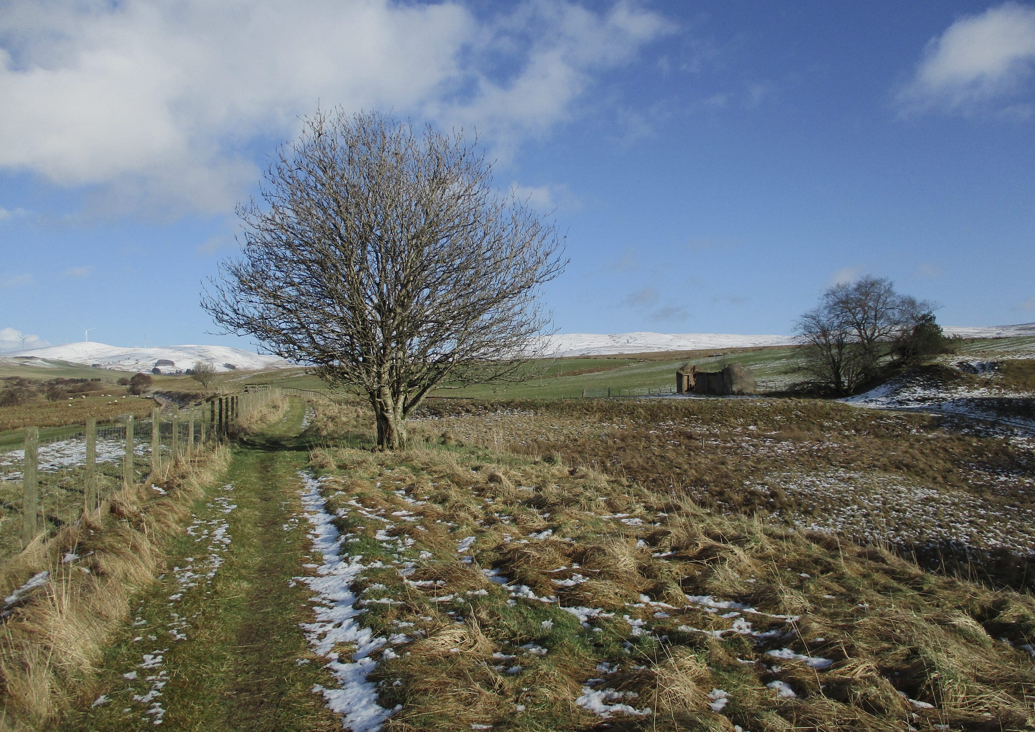 River Ayr Way landscape certificate route preview in United Kingdom