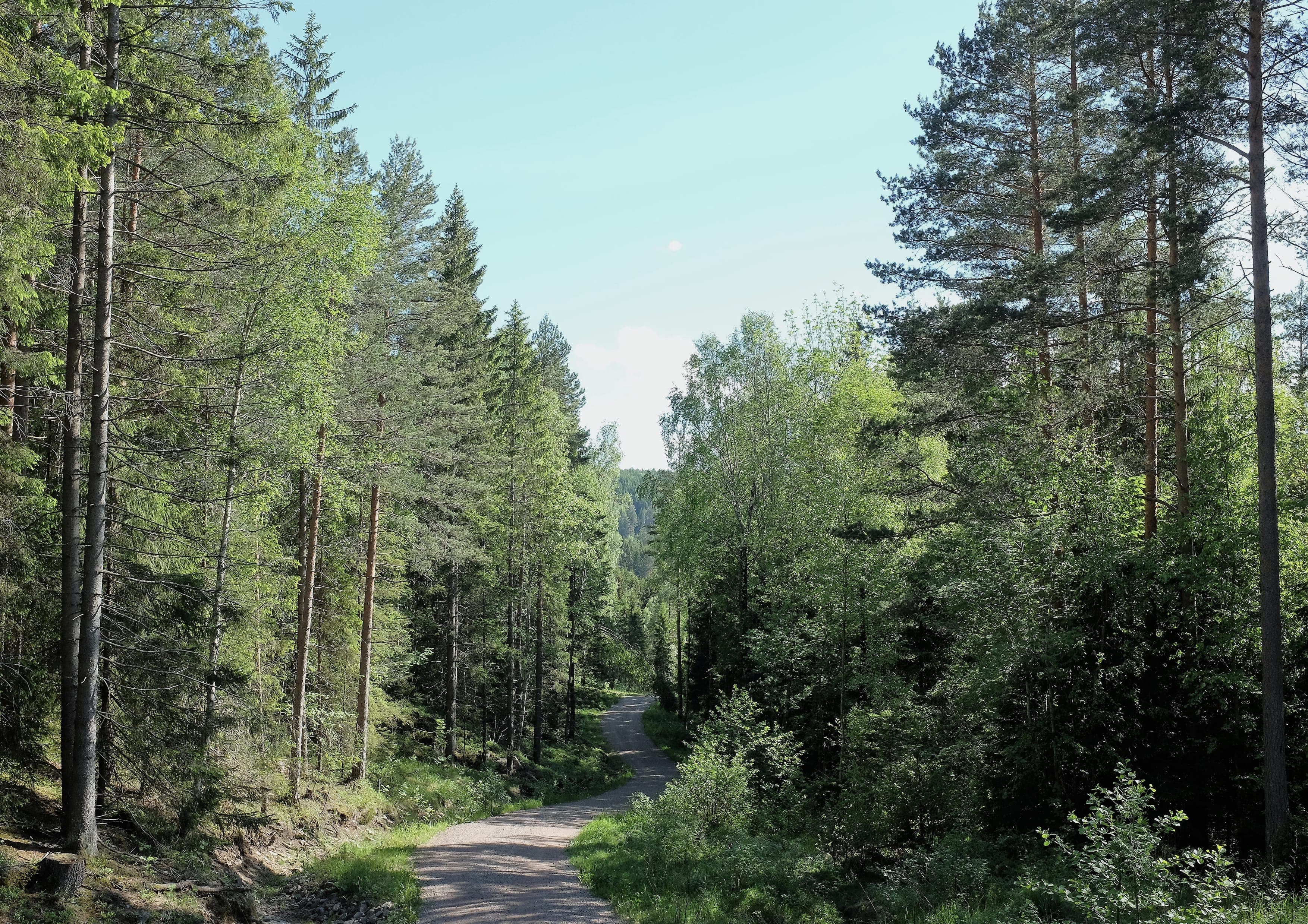 Rondanestien landscape certificate route preview in Norway