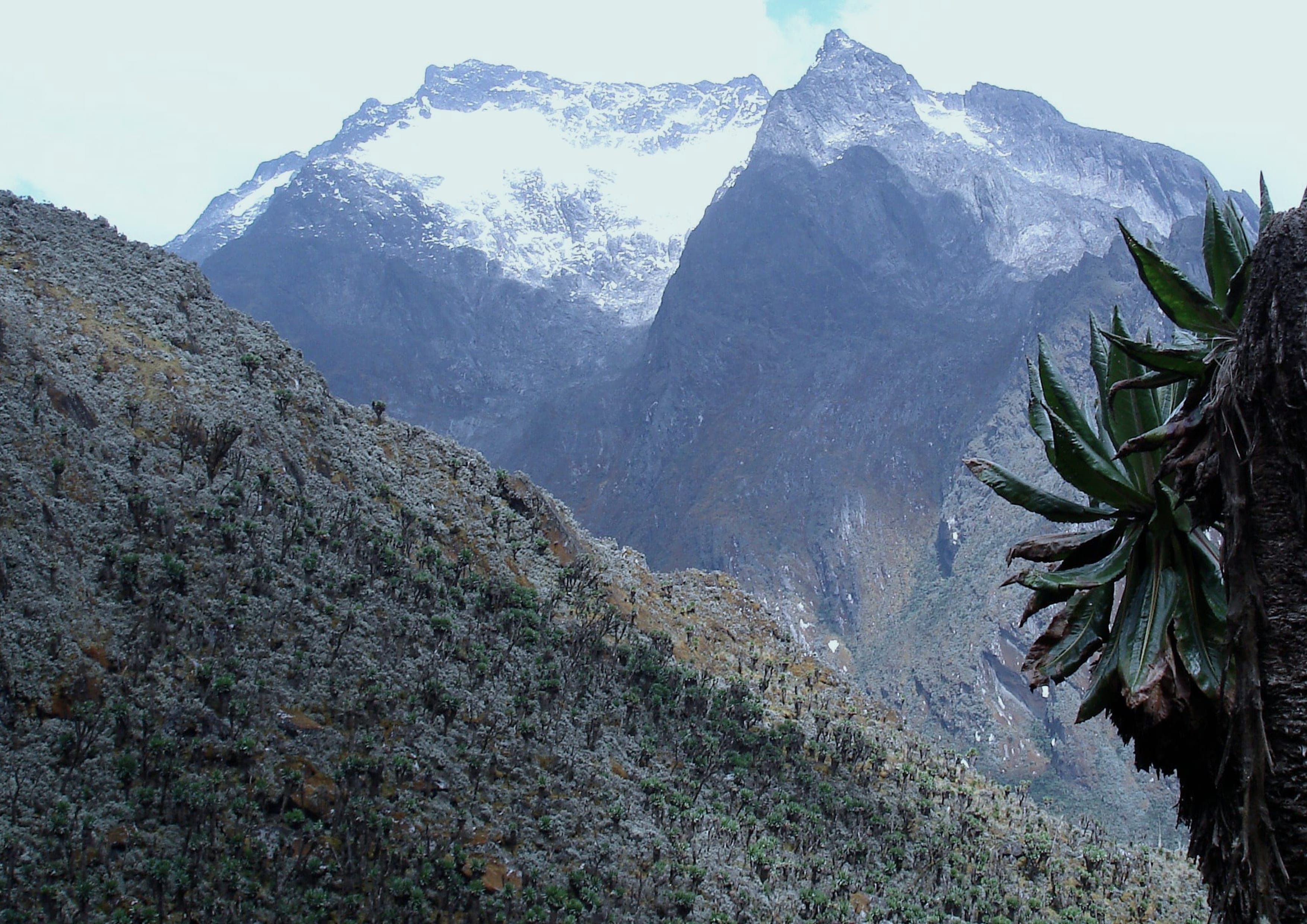 Rwenzori Central Circuit landscape certificate route preview in Uganda