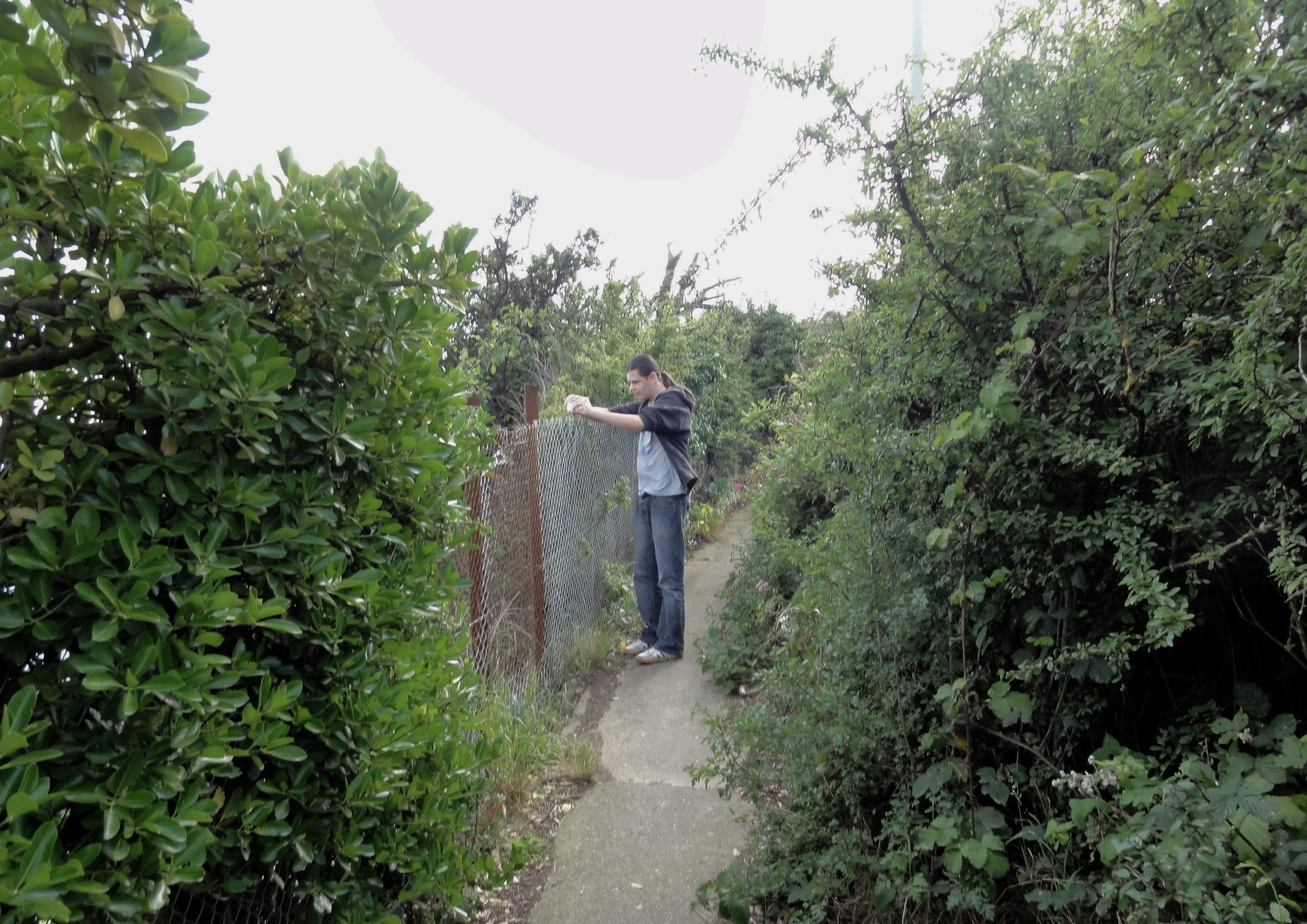 Saxon Shore Way landscape certificate route preview in United Kingdom