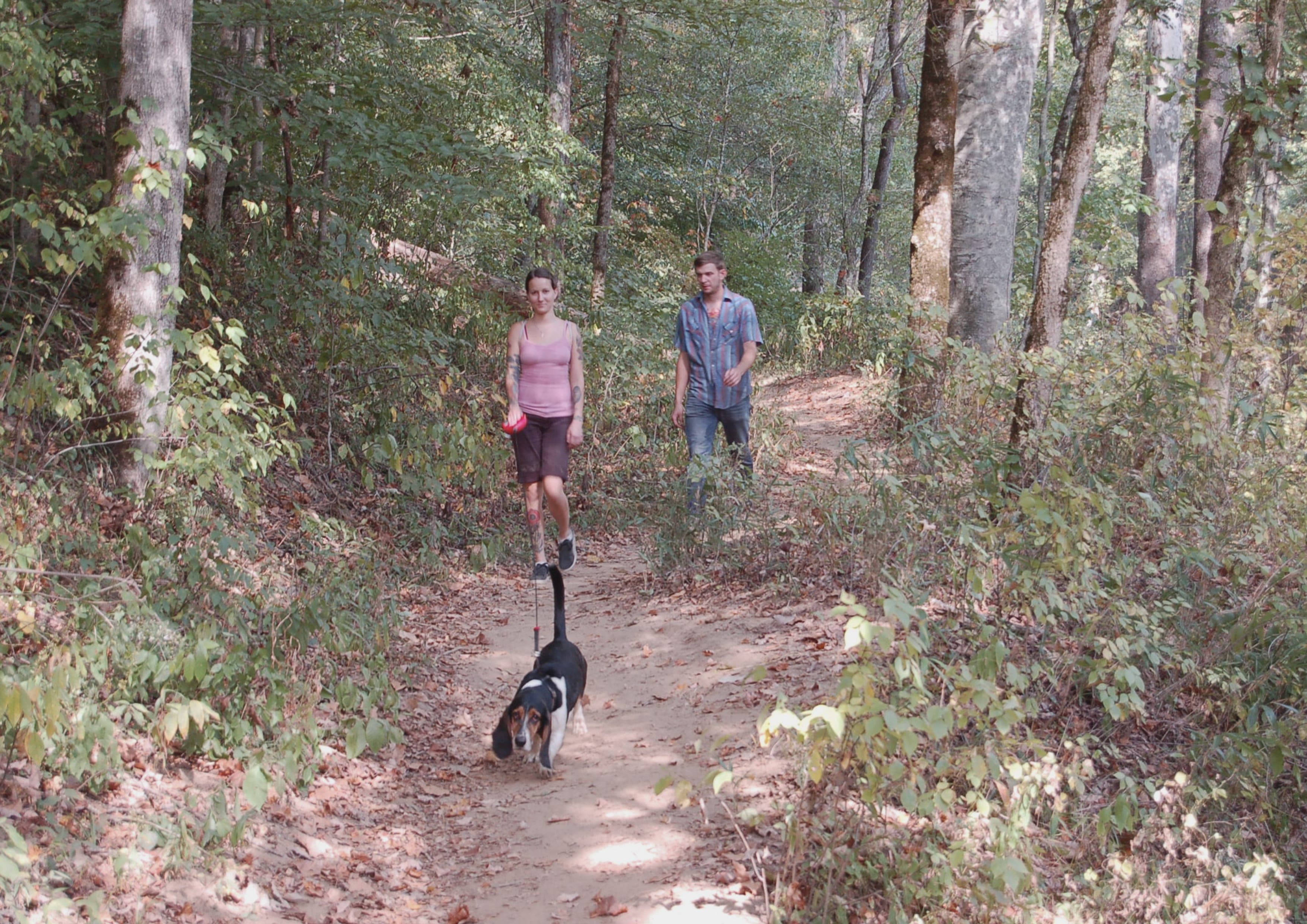 Sheltowee Trace landscape certificate route preview in United States