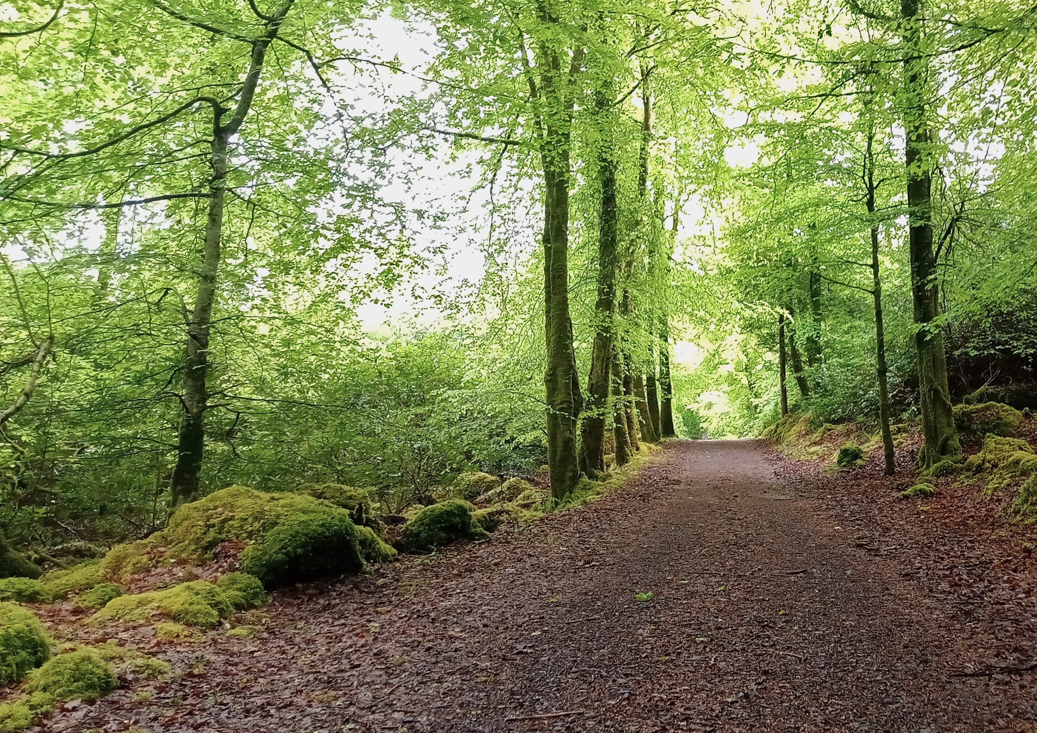Sligo Way landscape certificate route preview in Ireland and United Kingdom