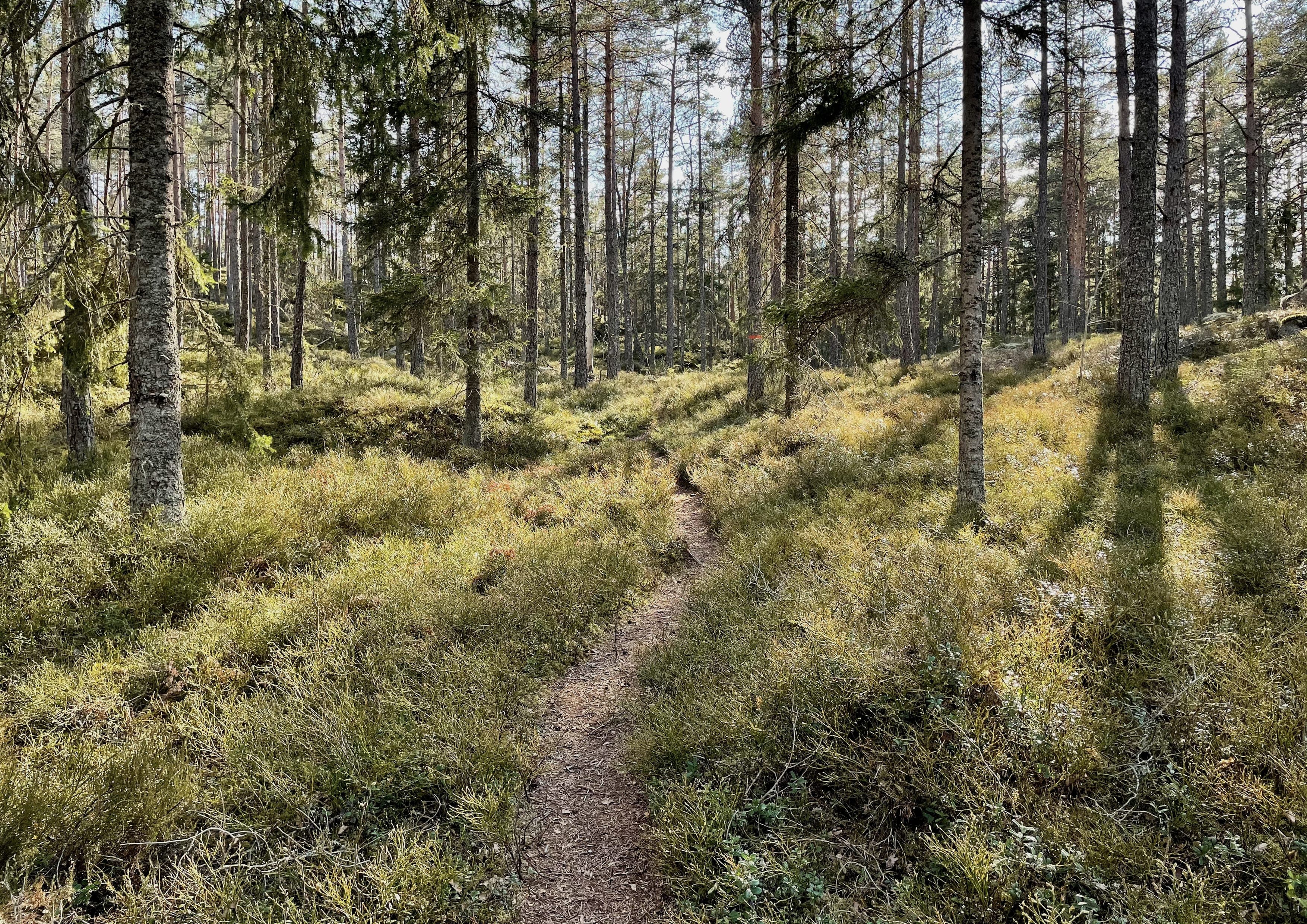 Sörmlandsleden landscape certificate route preview in Sweden