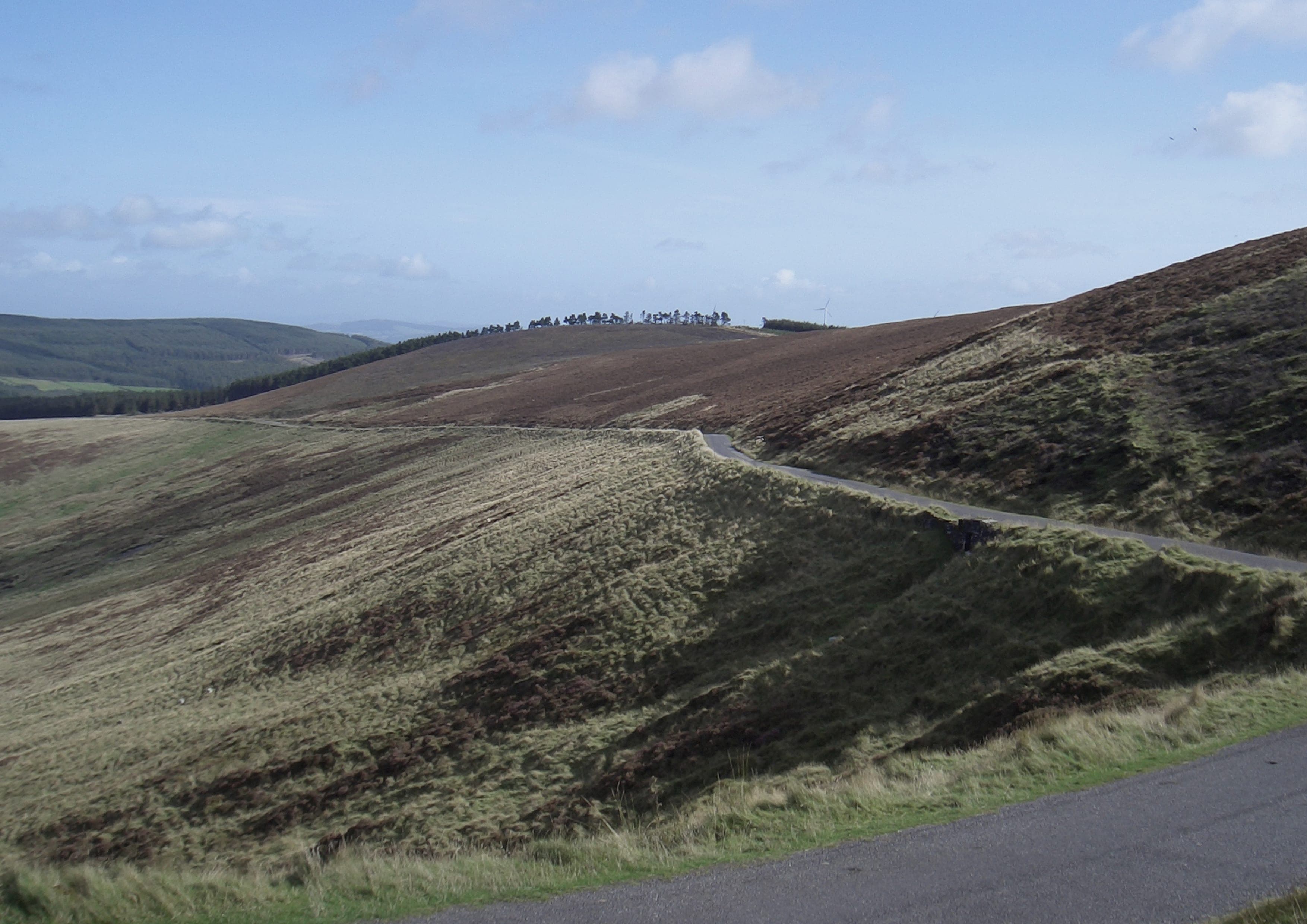 South Leinster Way landscape certificate route preview in Ireland and United Kingdom