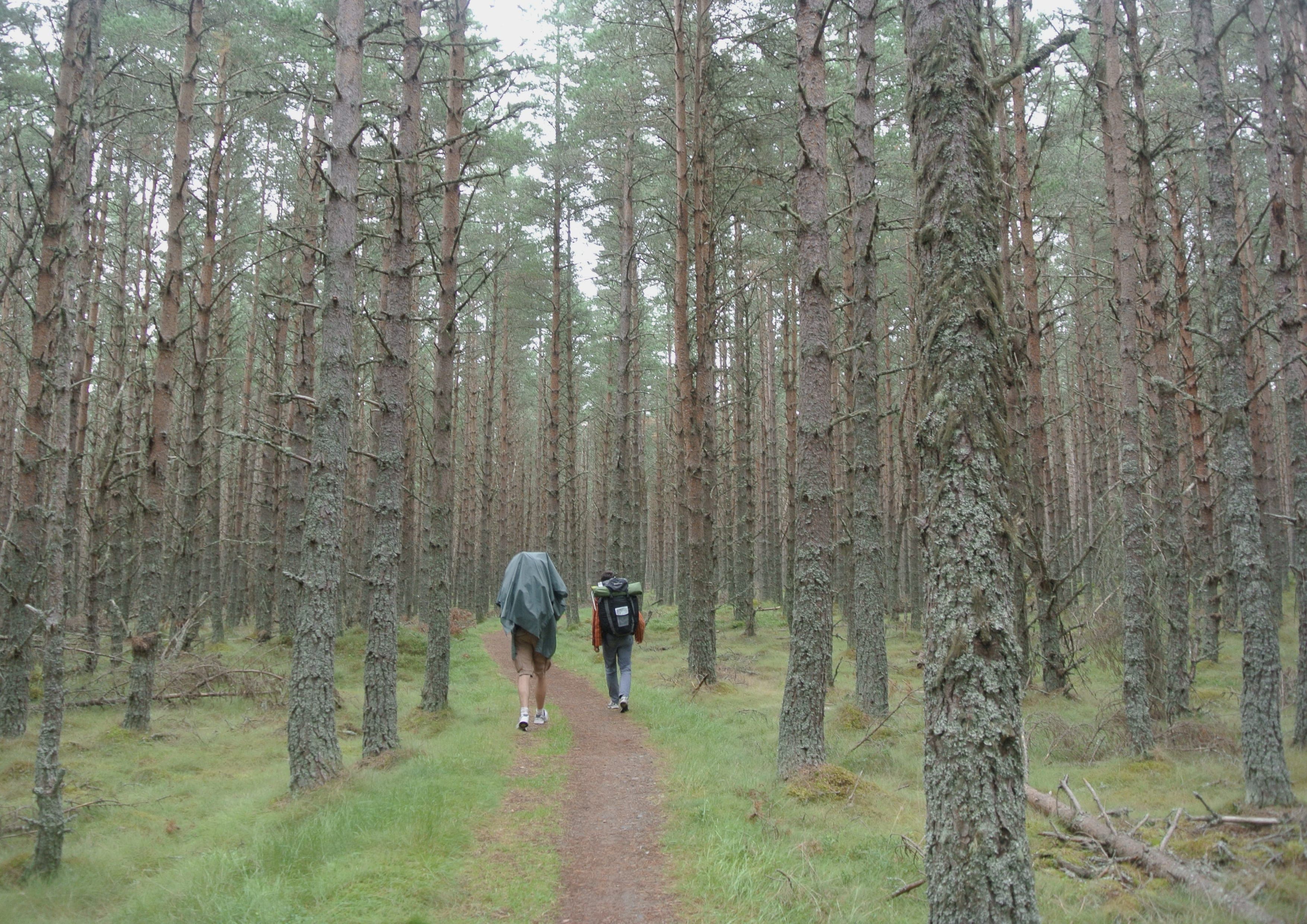 Speyside Way landscape certificate route preview in United Kingdom
