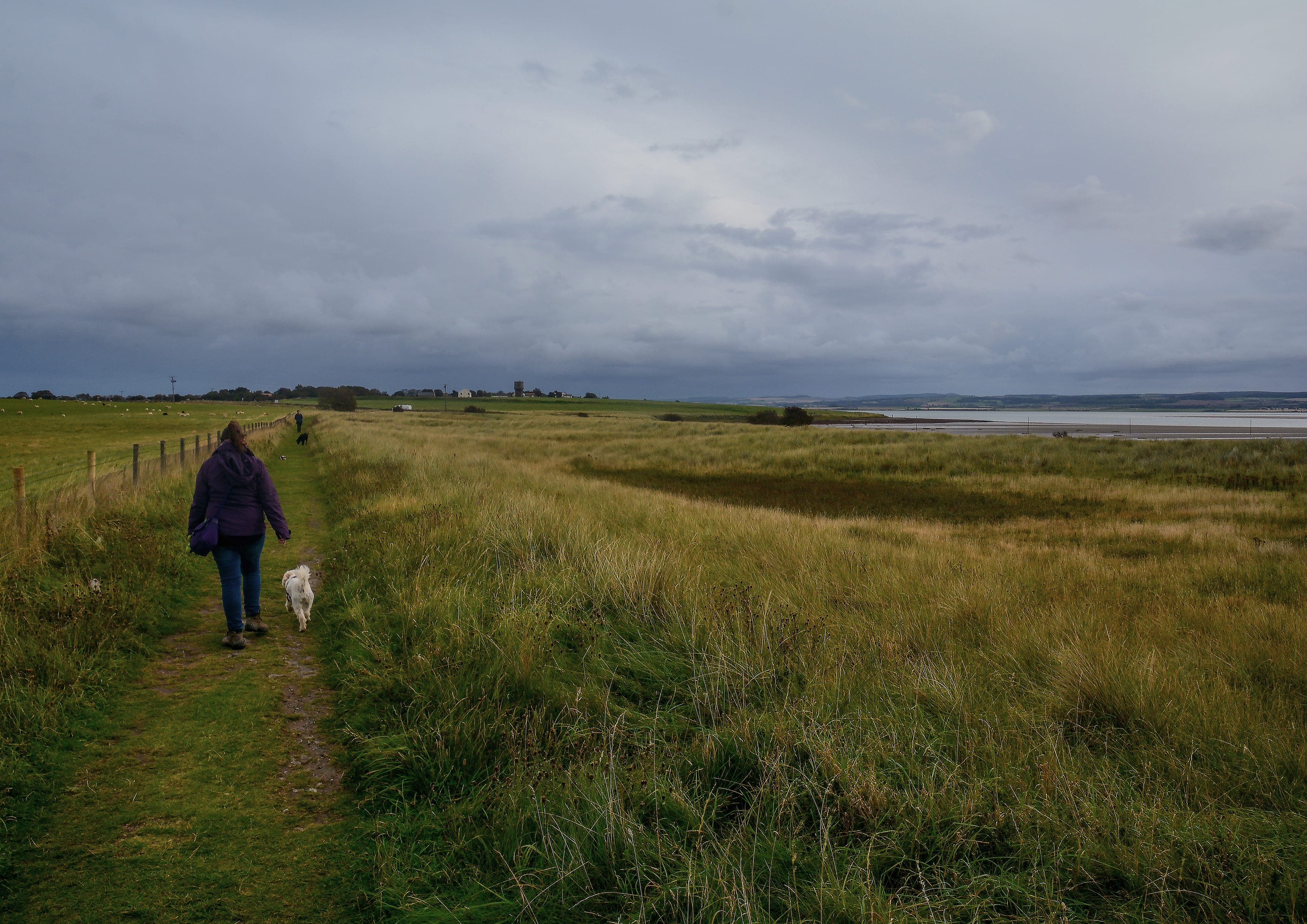 St Cuthbert's Way landscape certificate route preview in United Kingdom