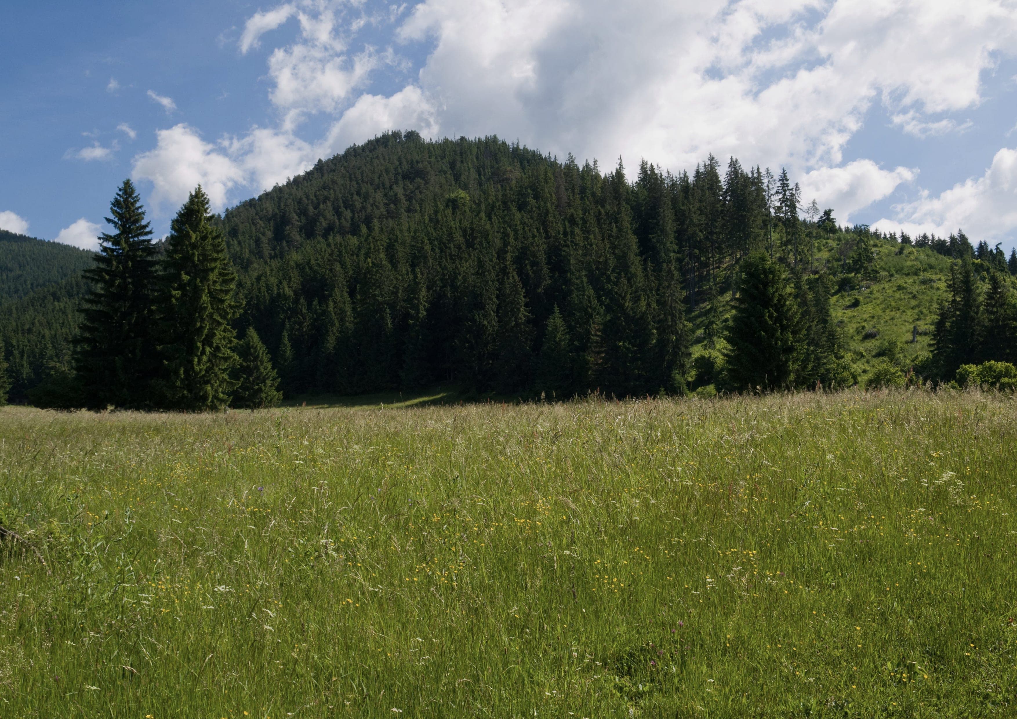 Tatranská magistrála landscape certificate route preview in Slovakia