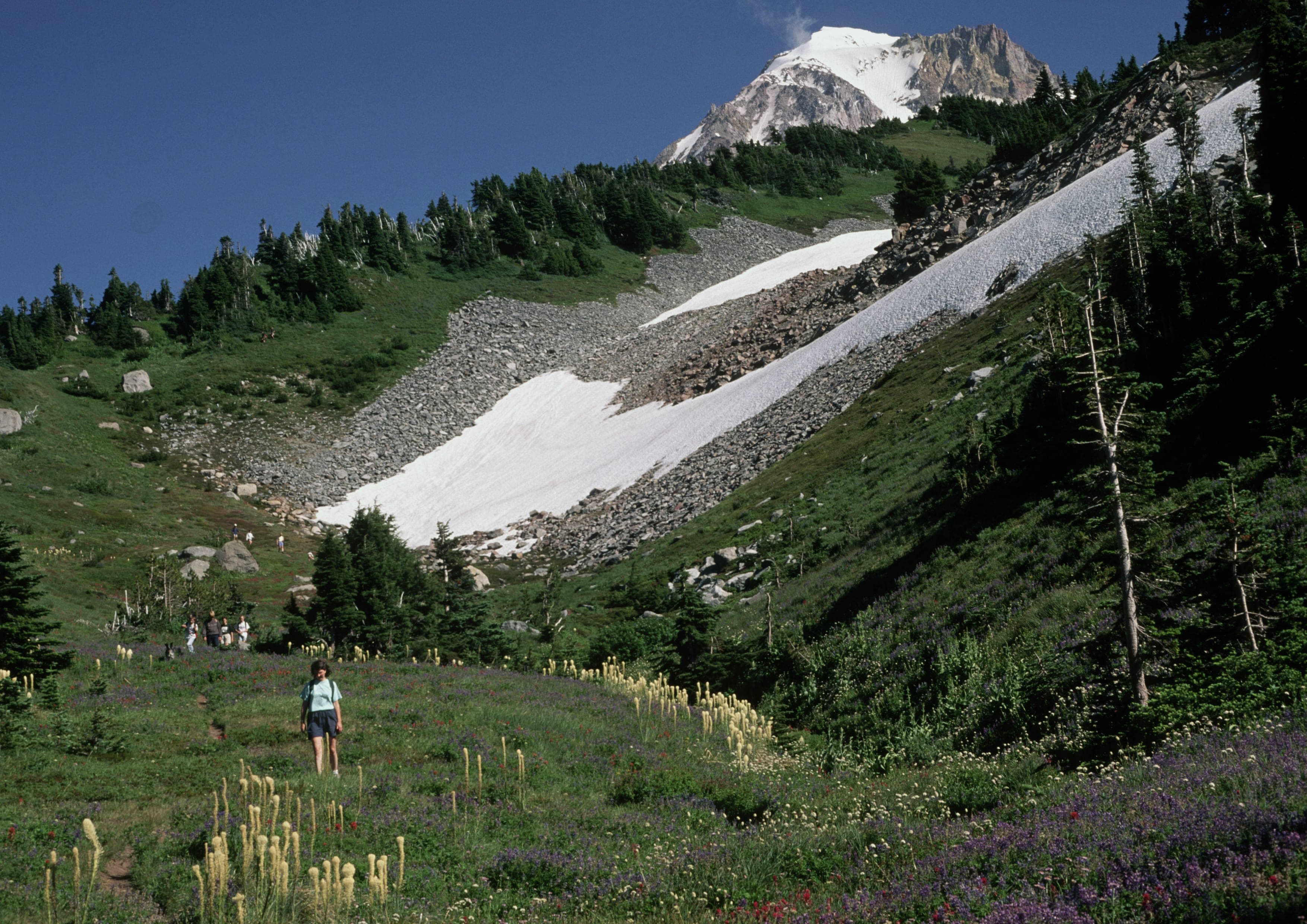 Timberline Trail landscape certificate route preview in United States